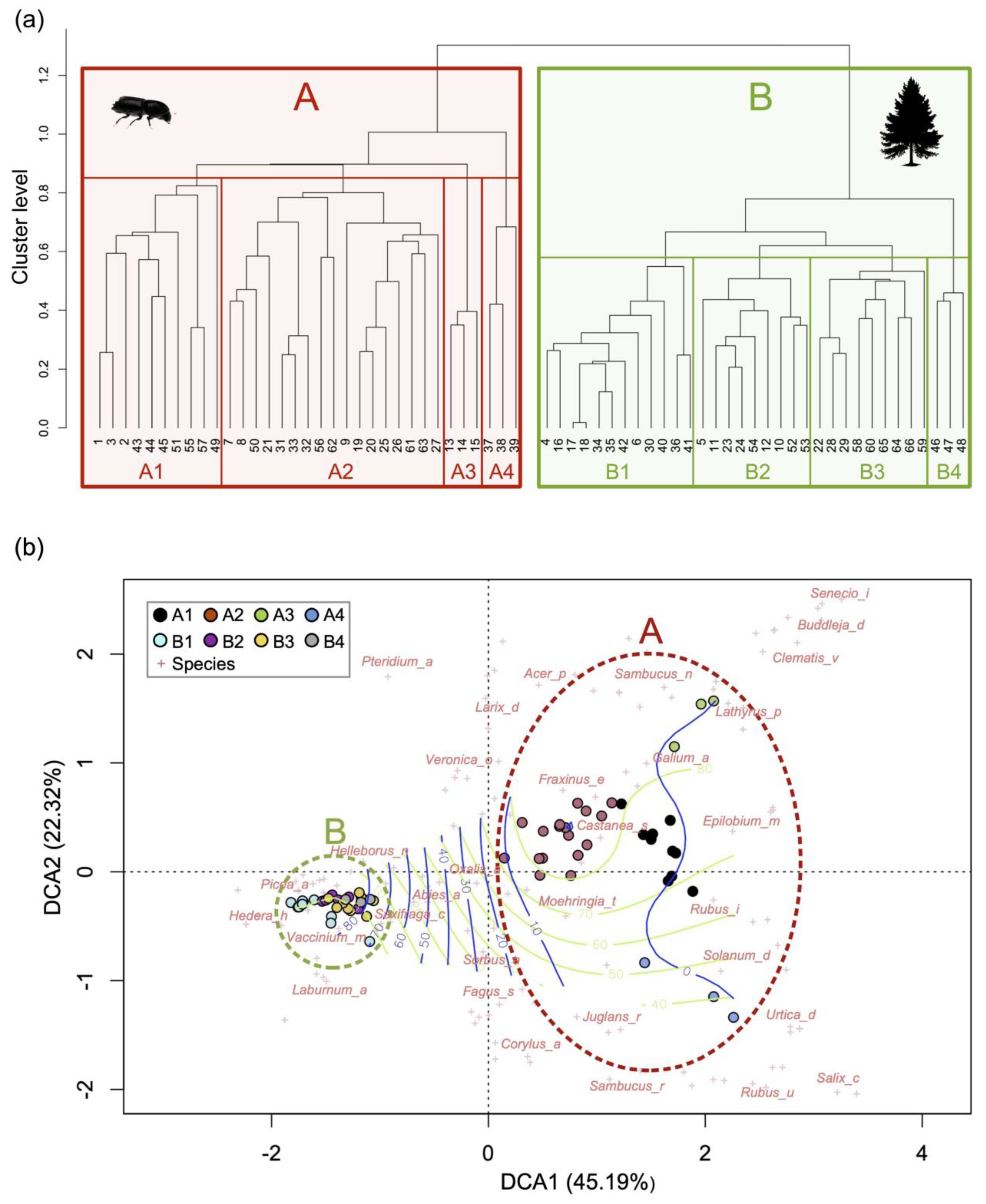 Plants 14 01681 g006