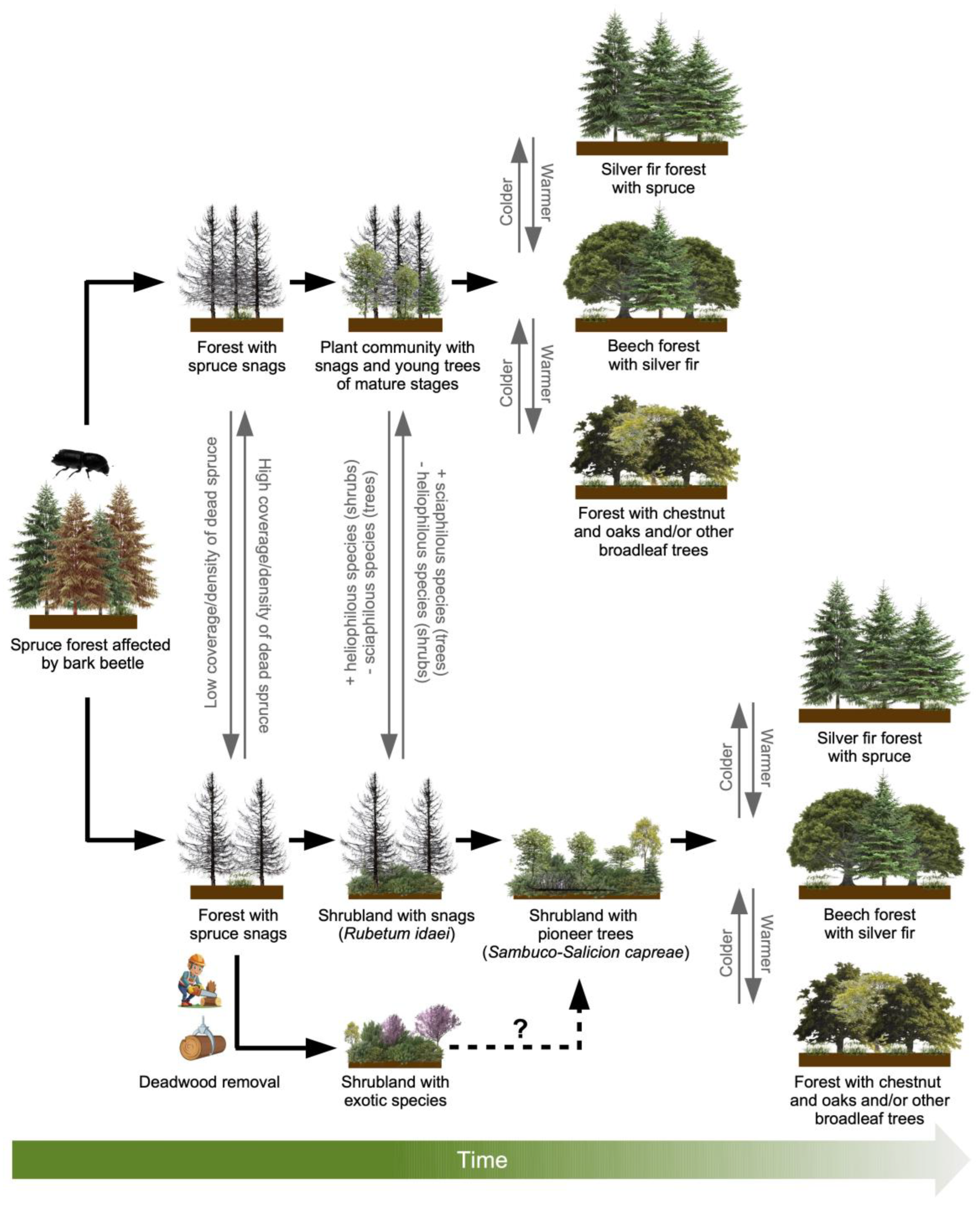 Plants 14 01681 g009