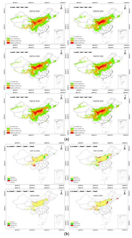 Analysis of Spatial Suitable Habitats of Four Subspecies of