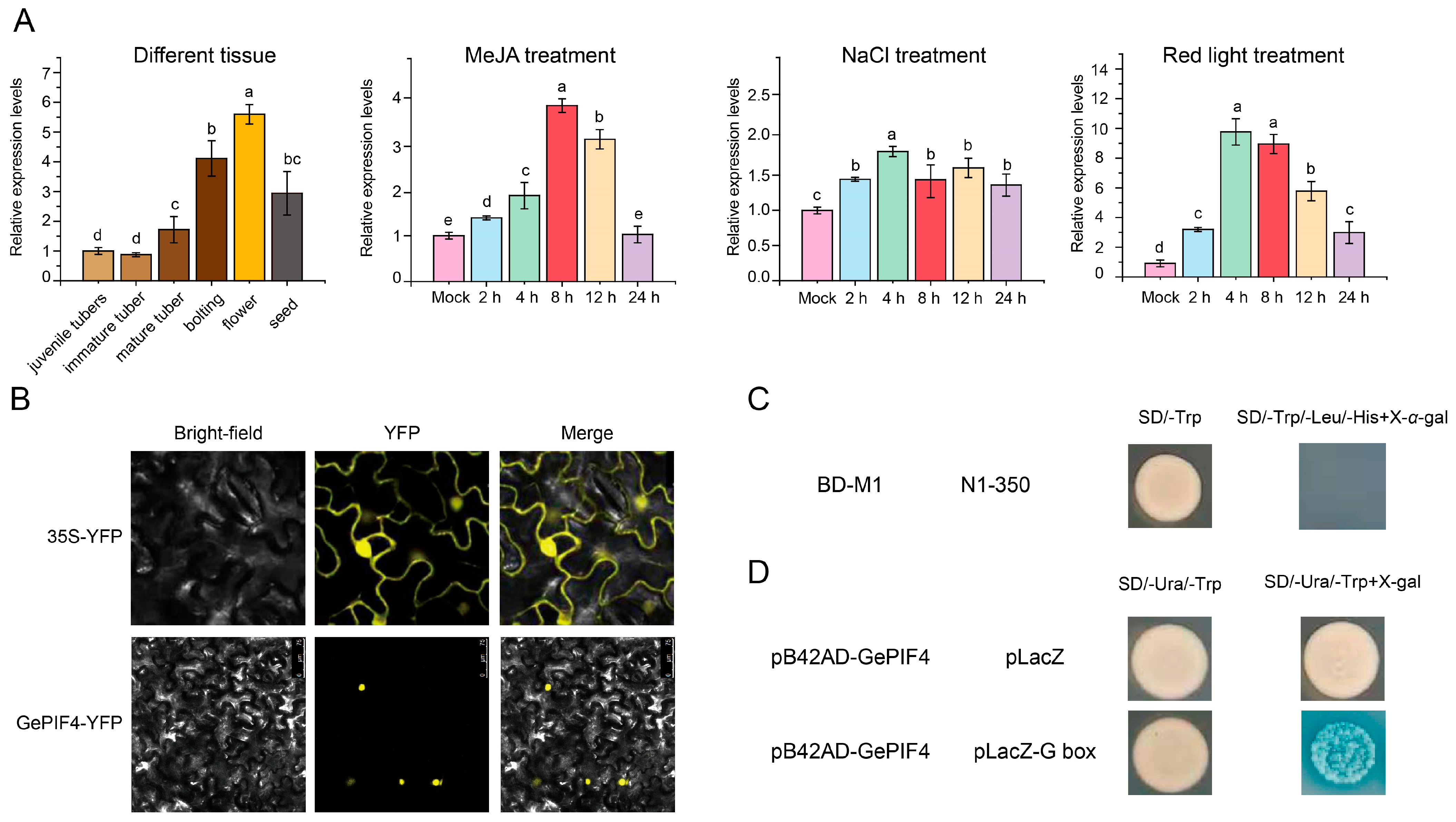 Plants 14 01684 g004