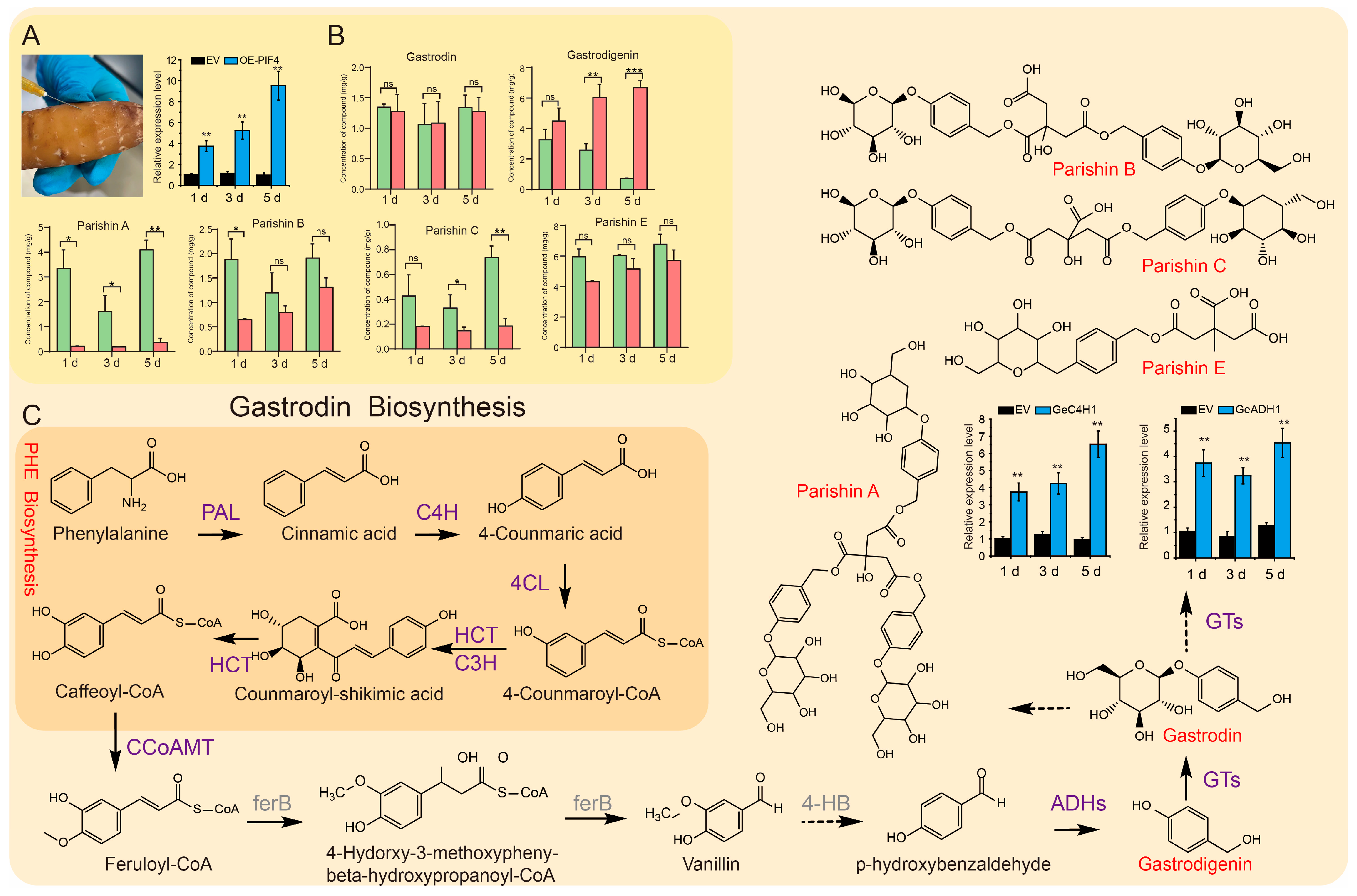 Plants 14 01684 g006