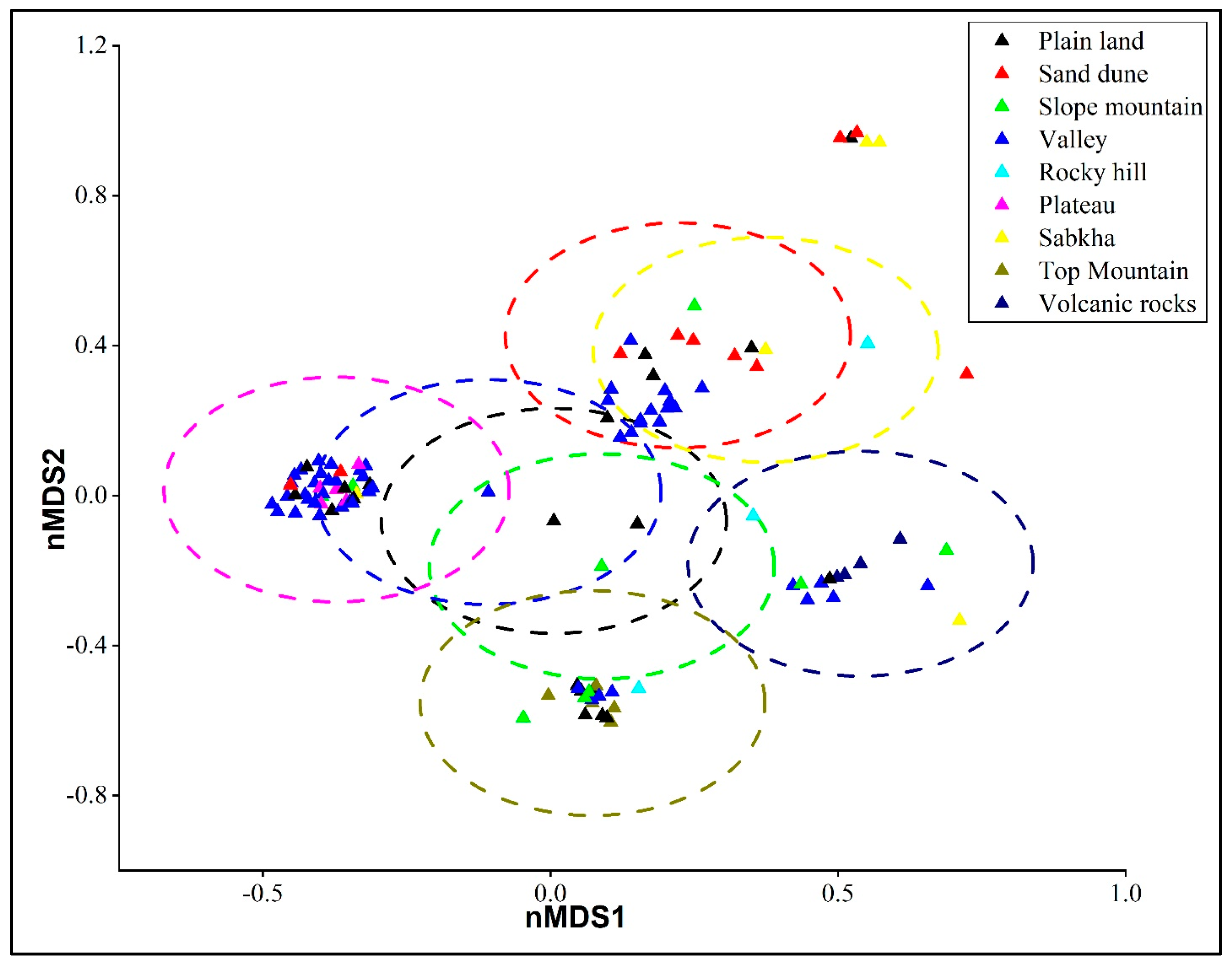 Plants 14 01696 g001