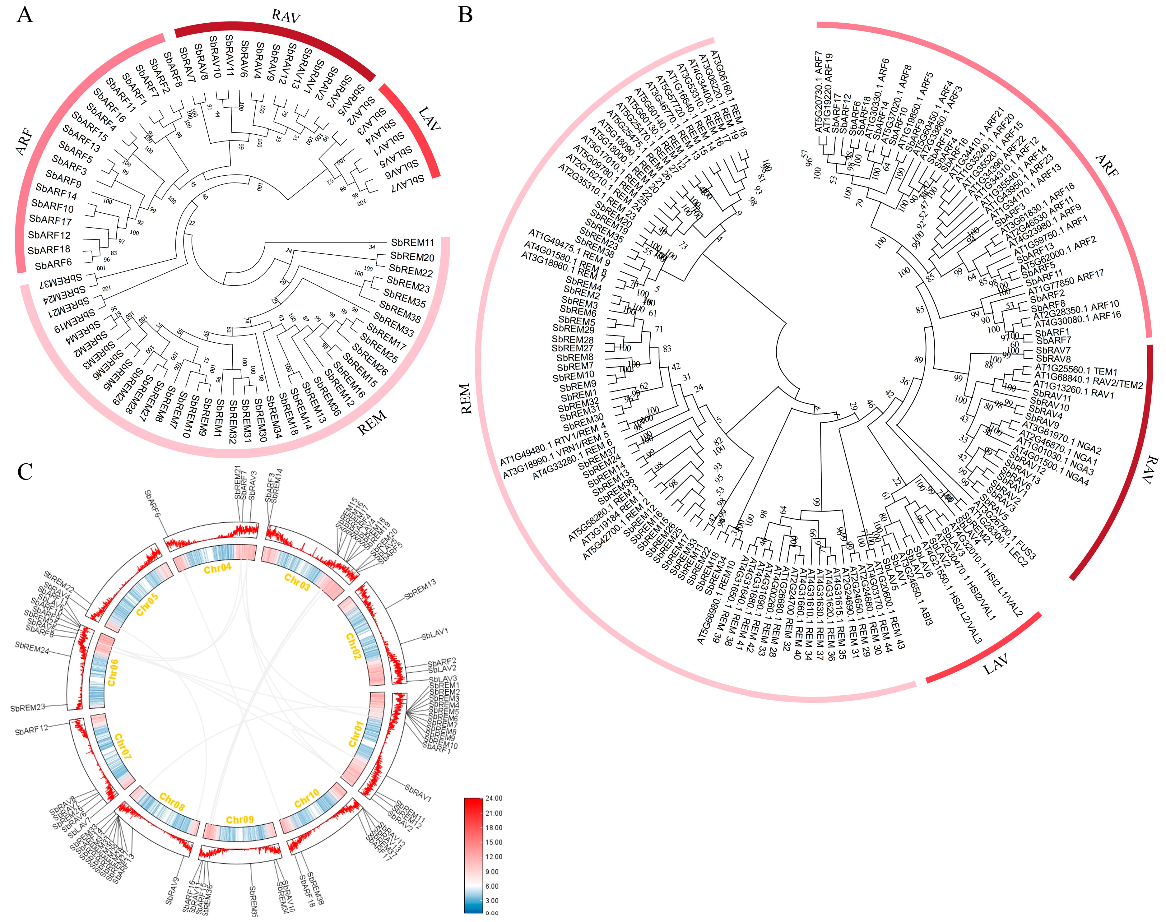 Plants 14 01701 g001