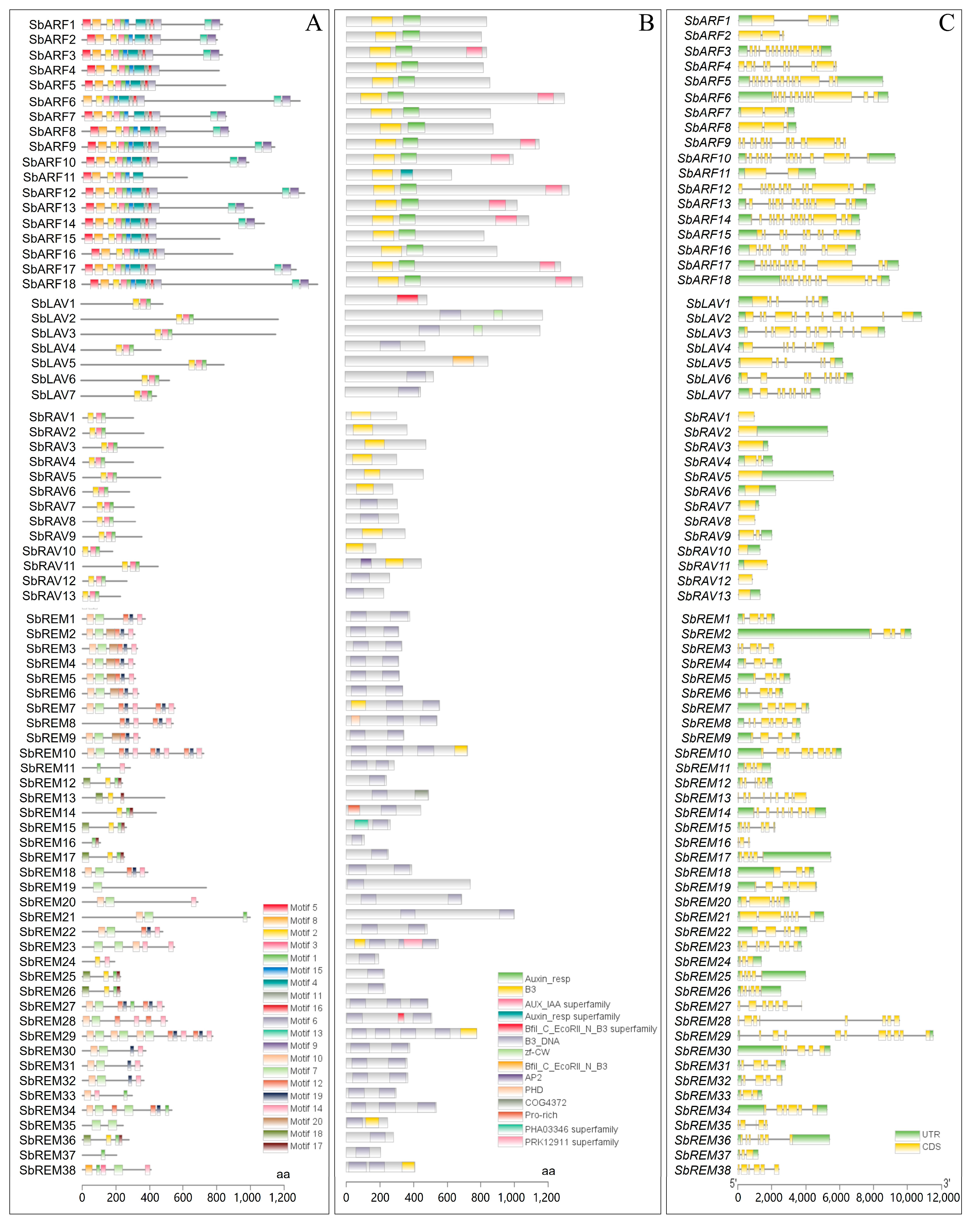 Plants 14 01701 g002