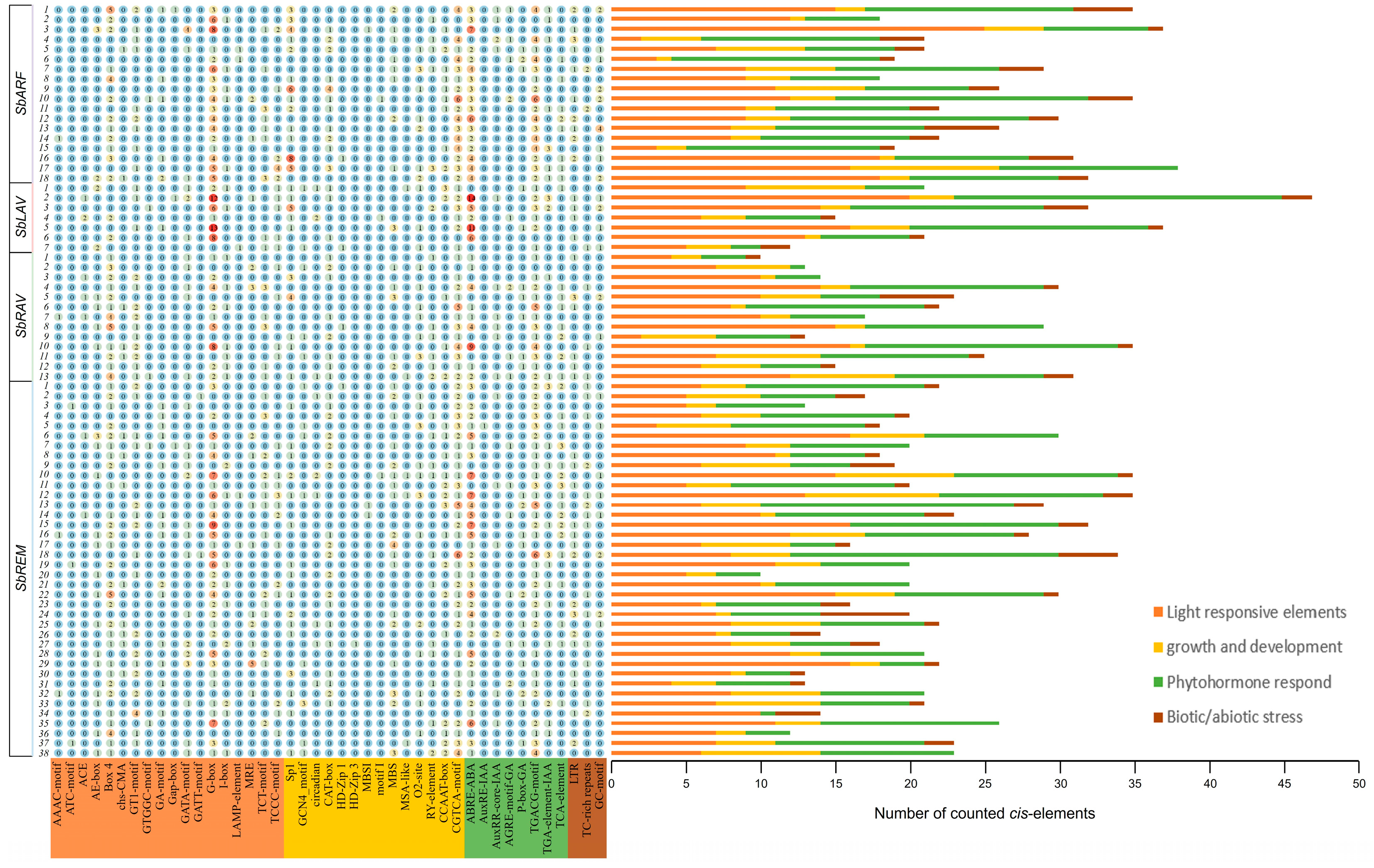 Plants 14 01701 g003