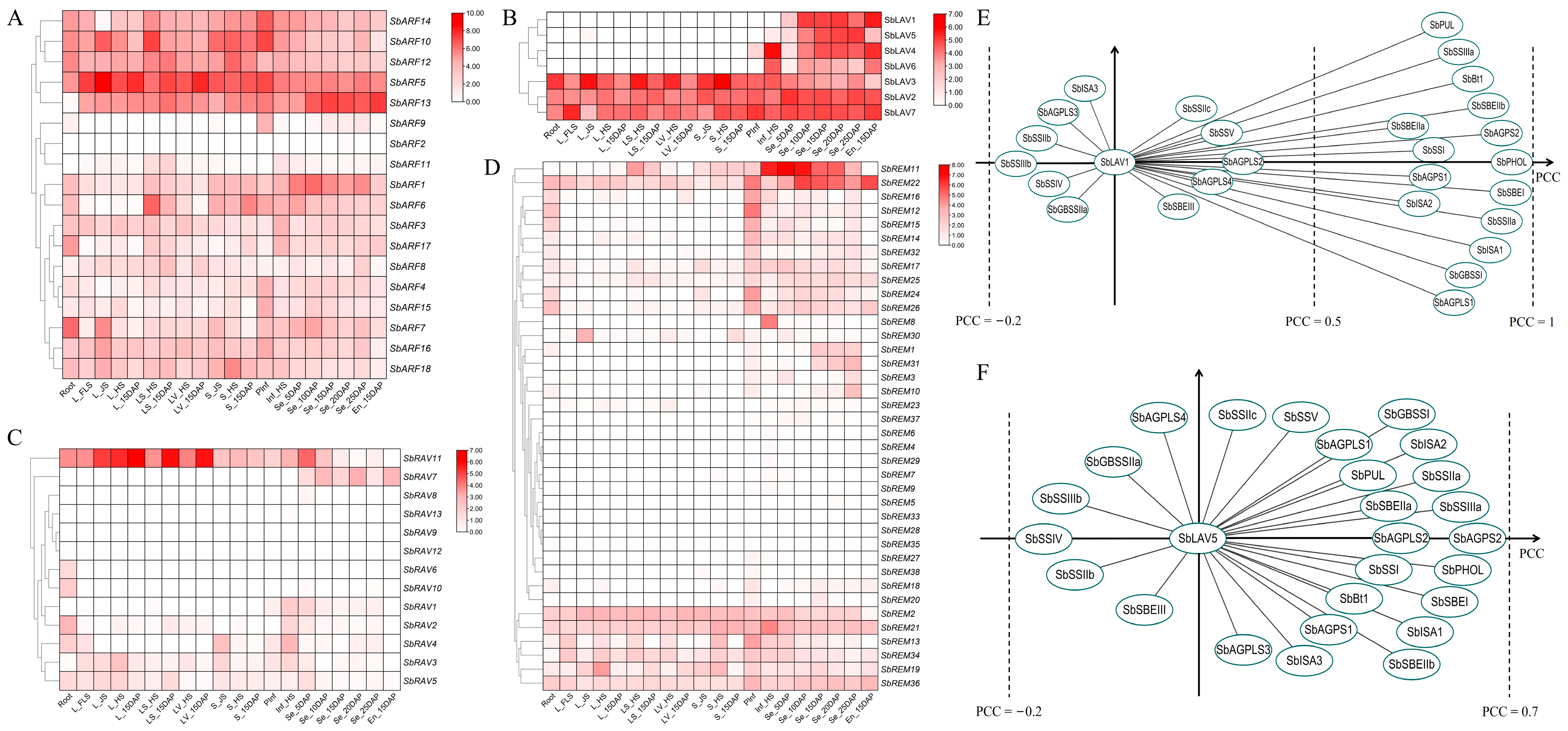 Plants 14 01701 g004