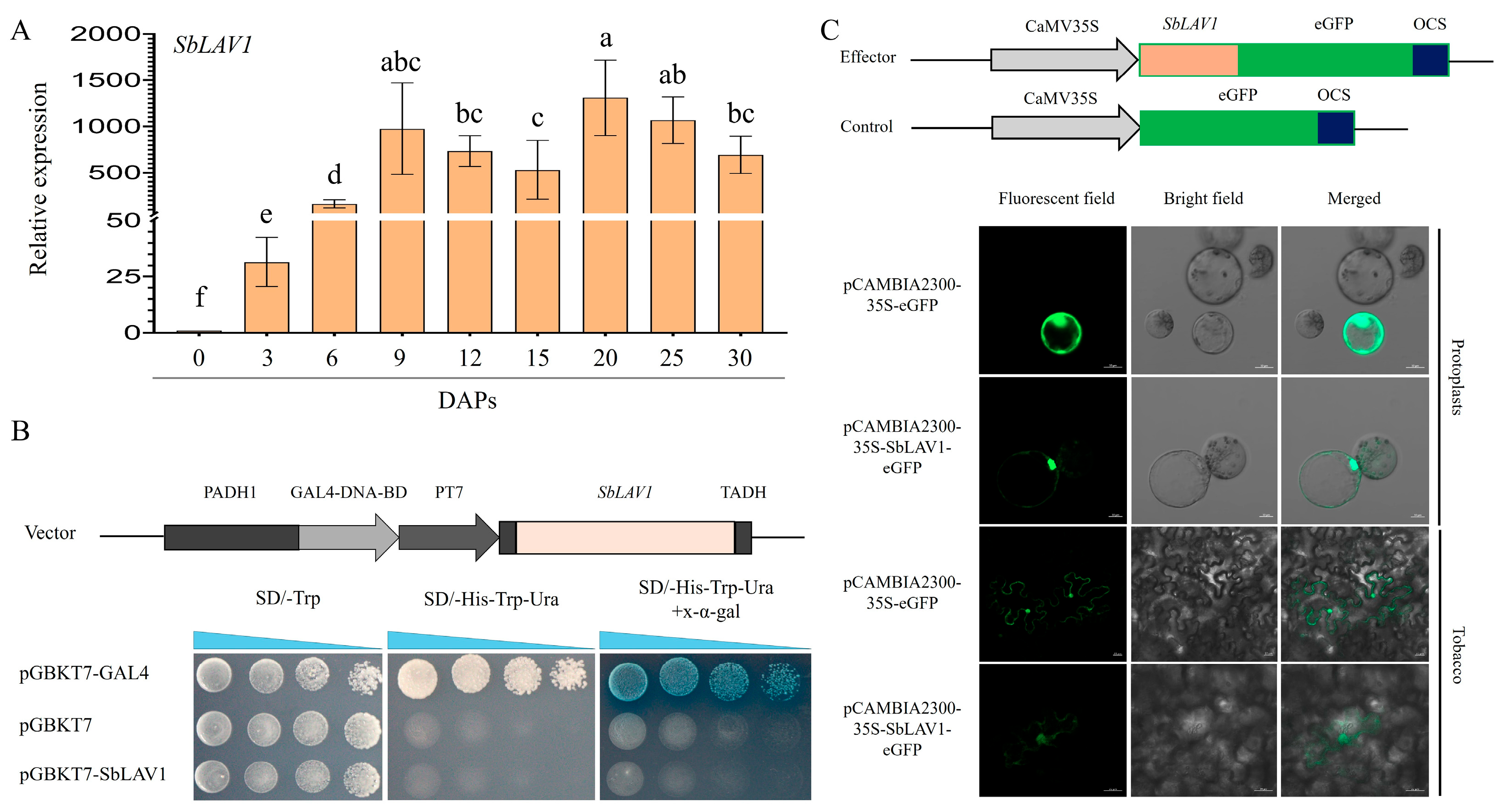 Plants 14 01701 g006