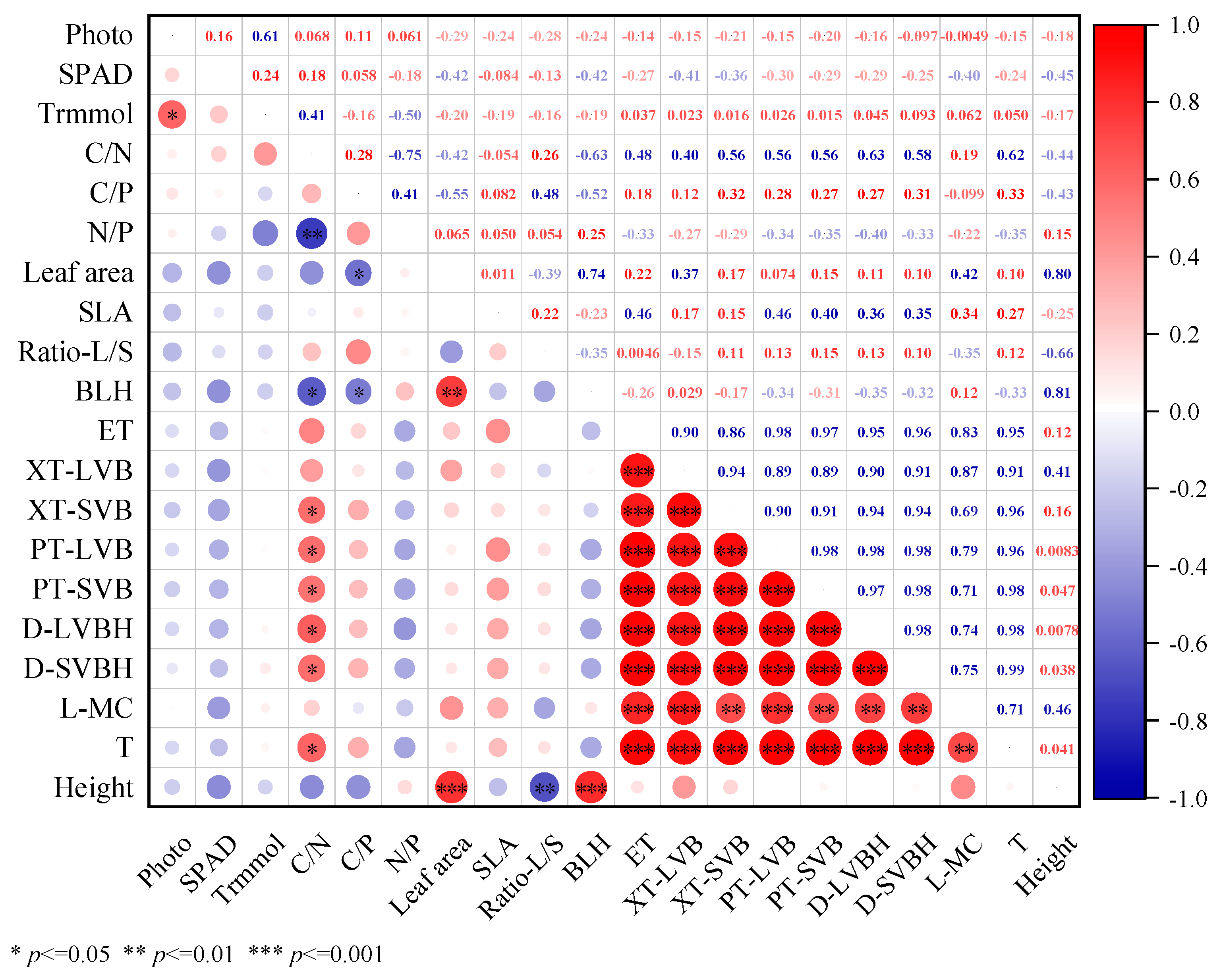 Plants 14 01702 g007 Plants 14 01702 g007