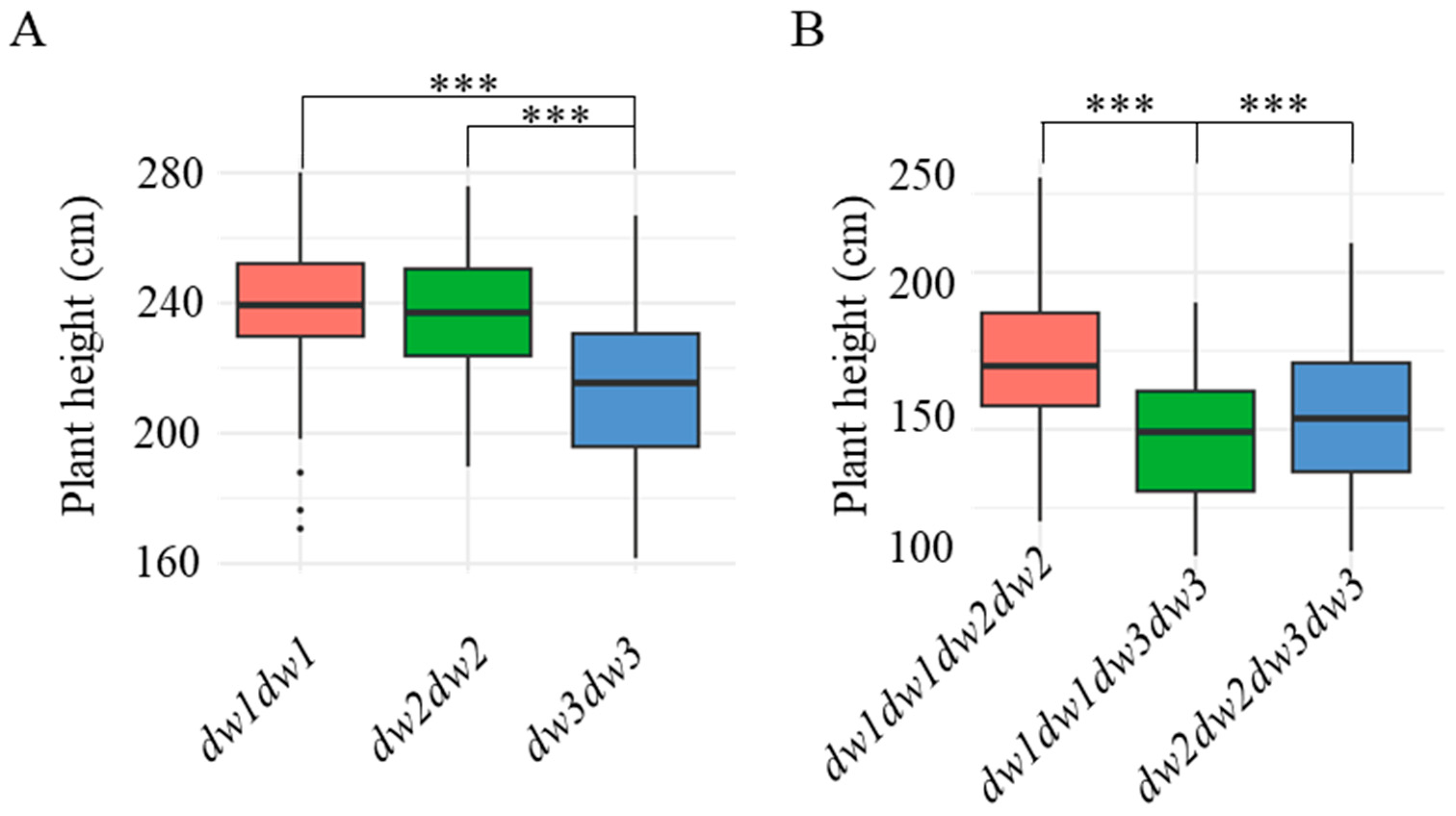 Plants 14 01703 g002