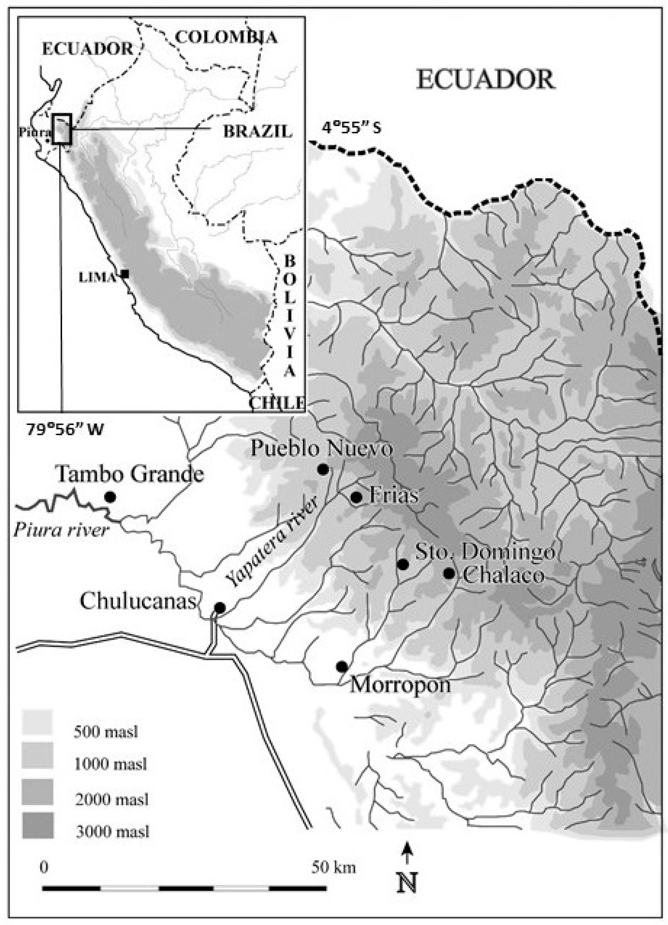 Plants 14 01704 g001