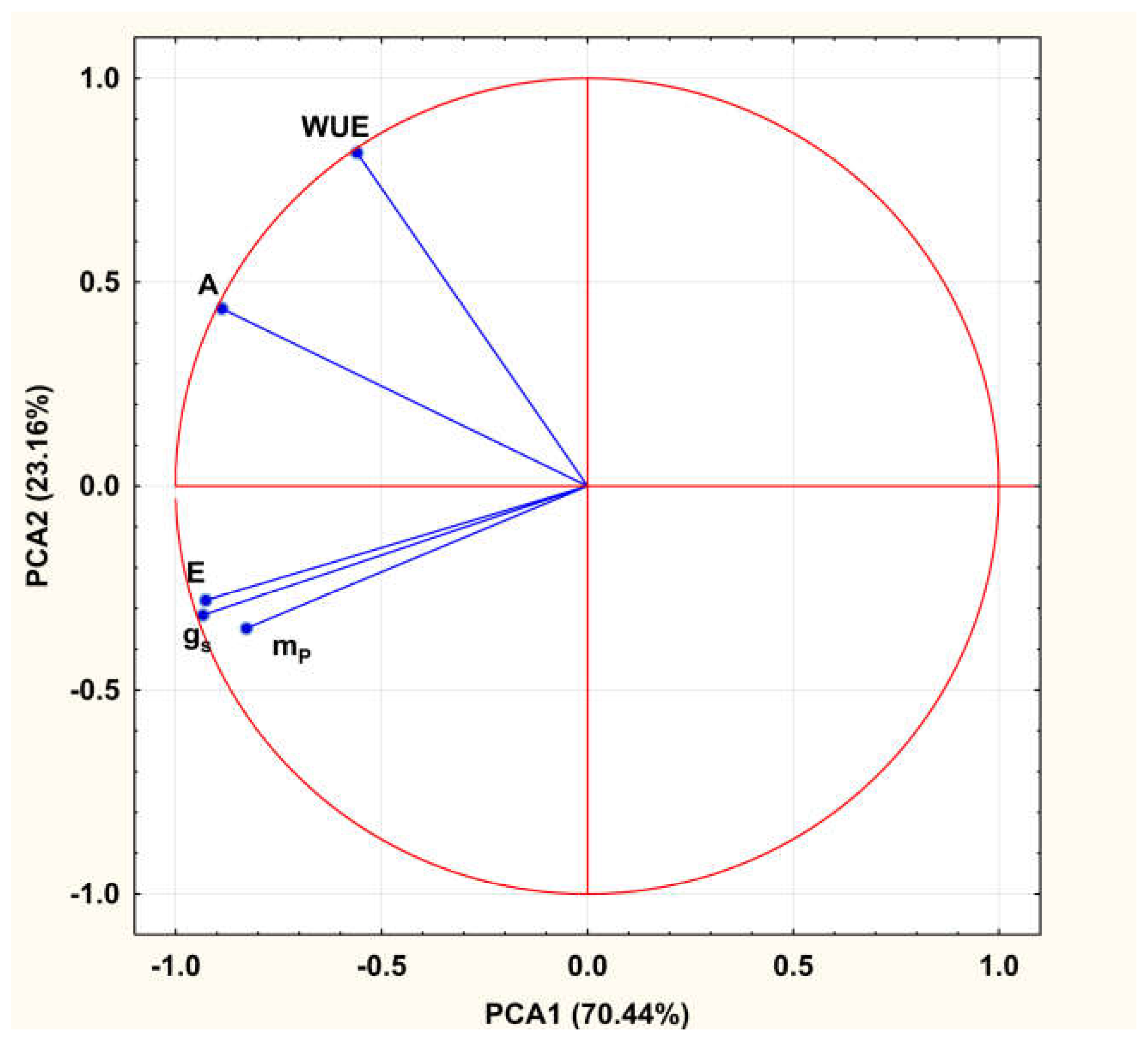 Plants 14 01705 g001