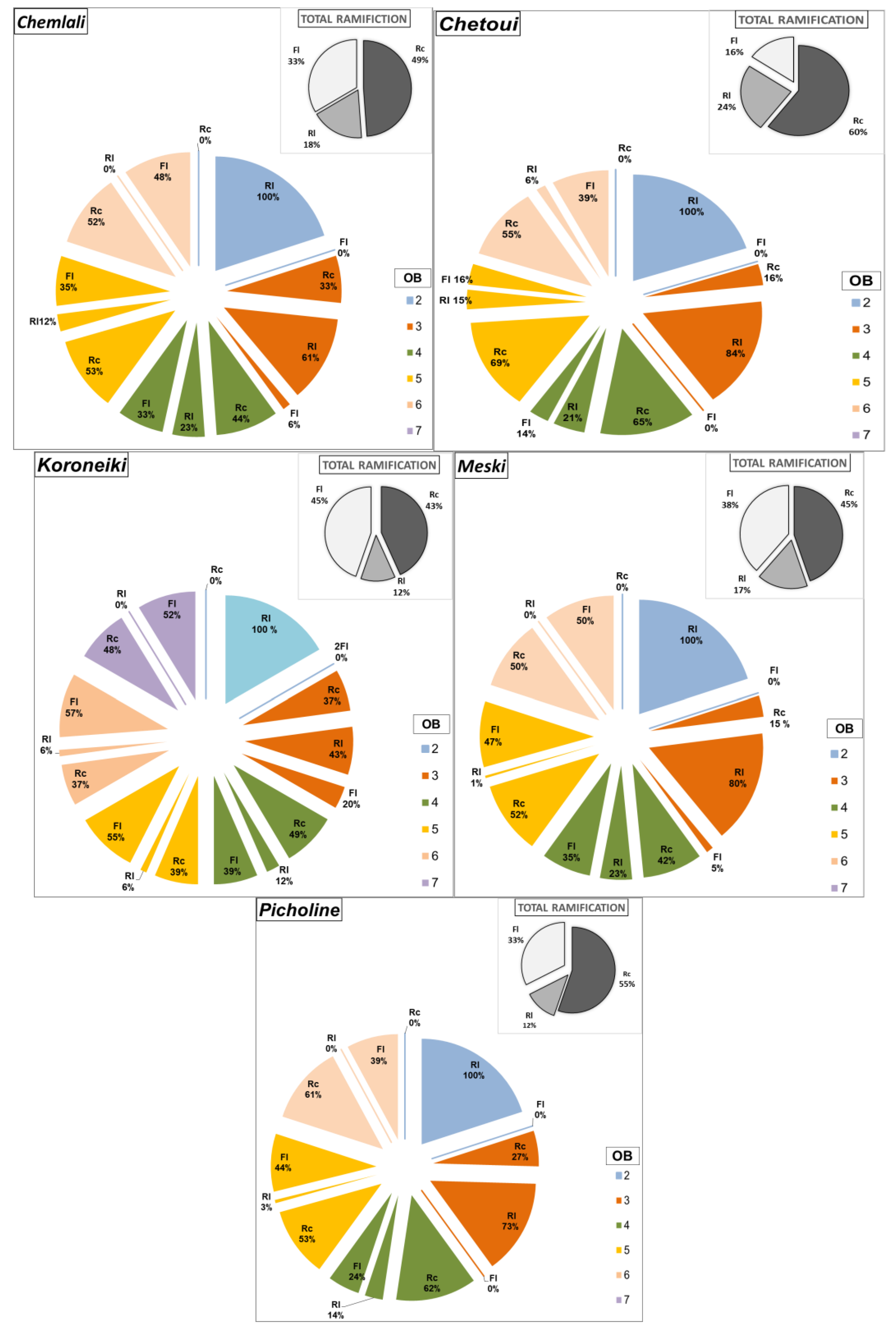 Plants 14 01707 g001