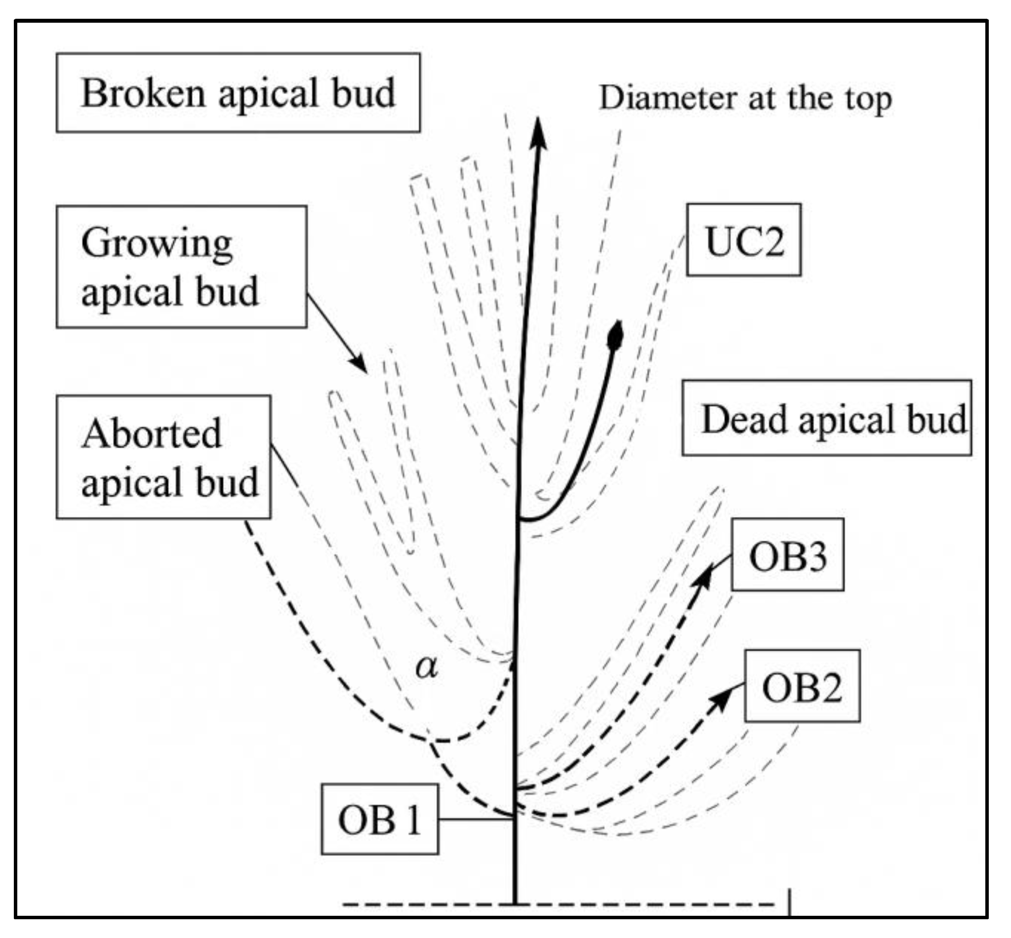 Plants 14 01707 g011