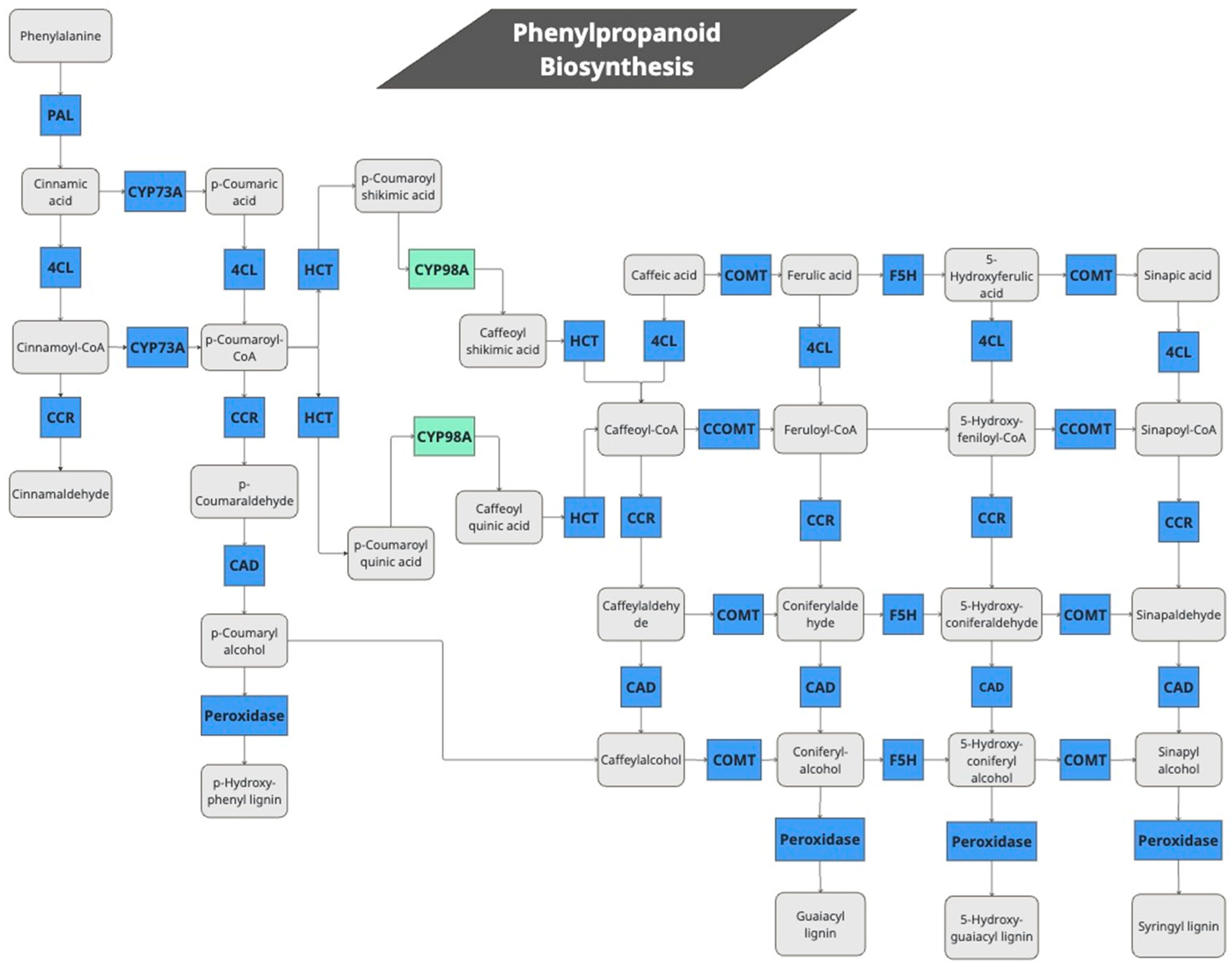 Plants 14 01708 g003