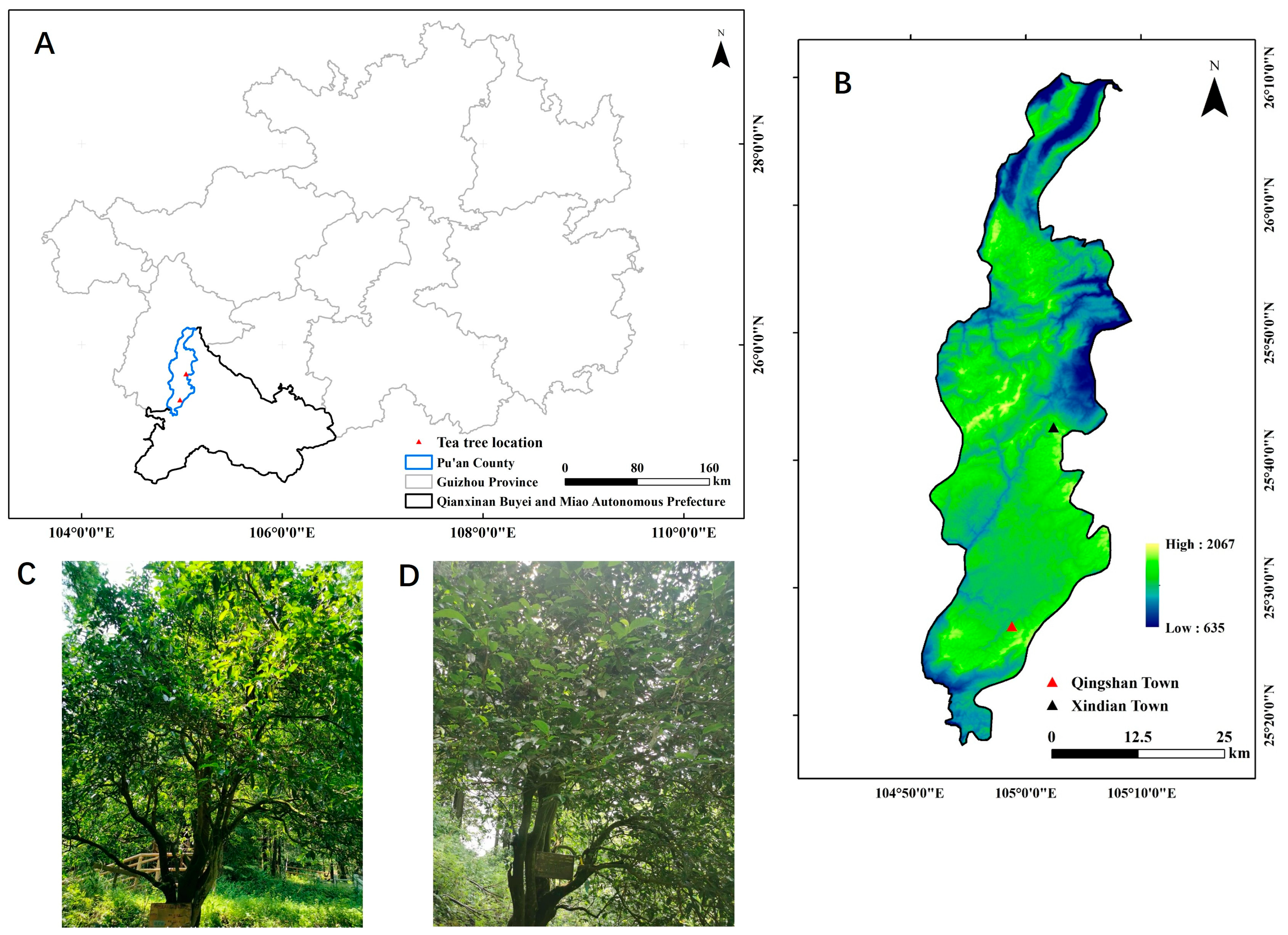 Plants 14 01709 g002