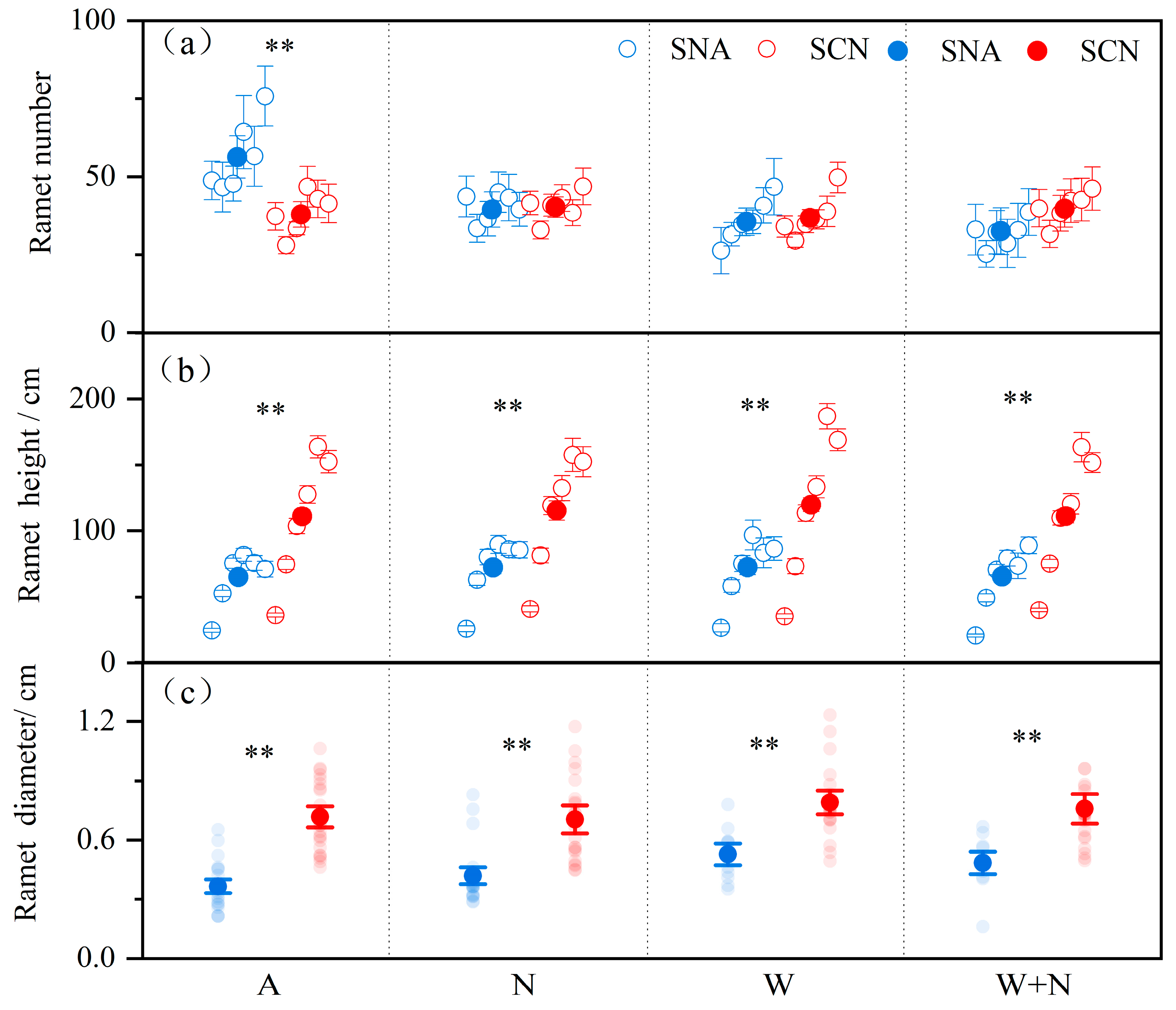 Plants 14 01711 g001