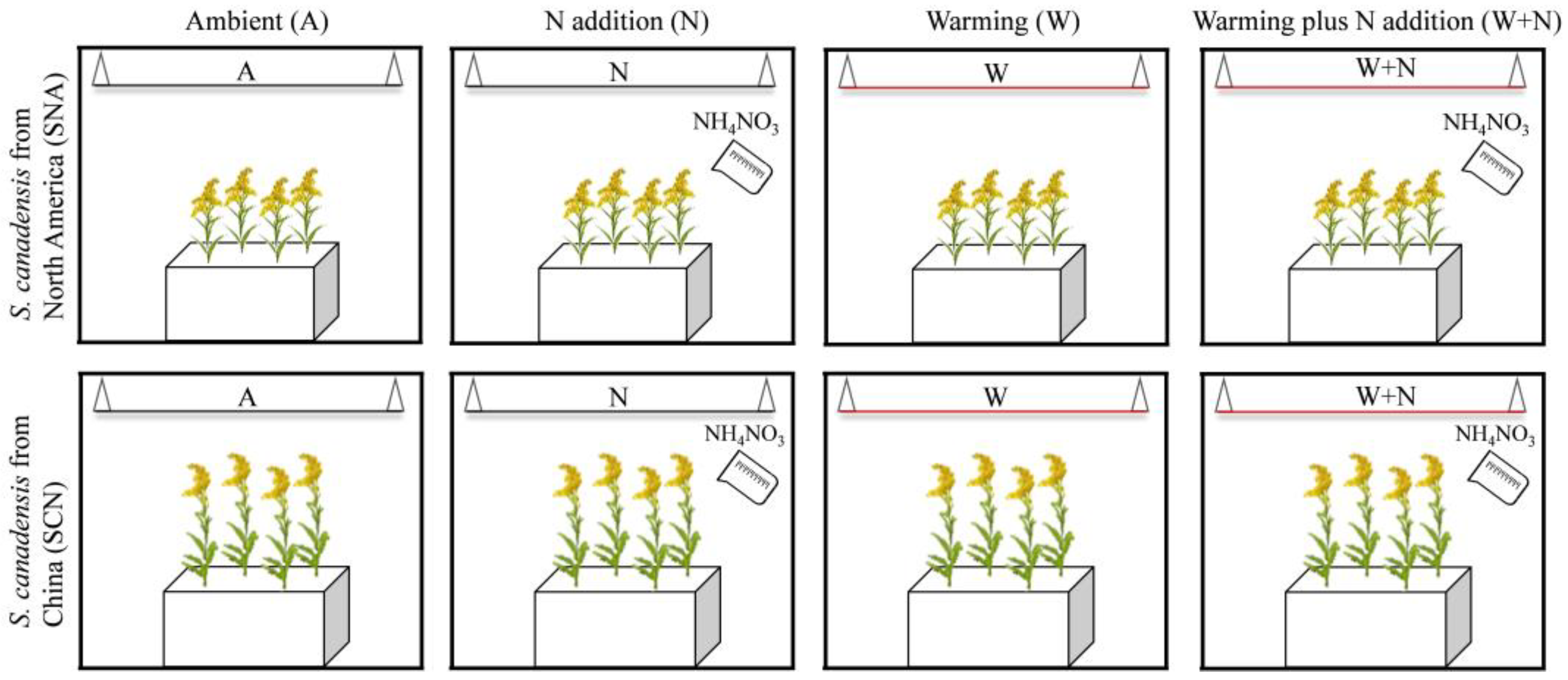 Plants 14 01711 g007