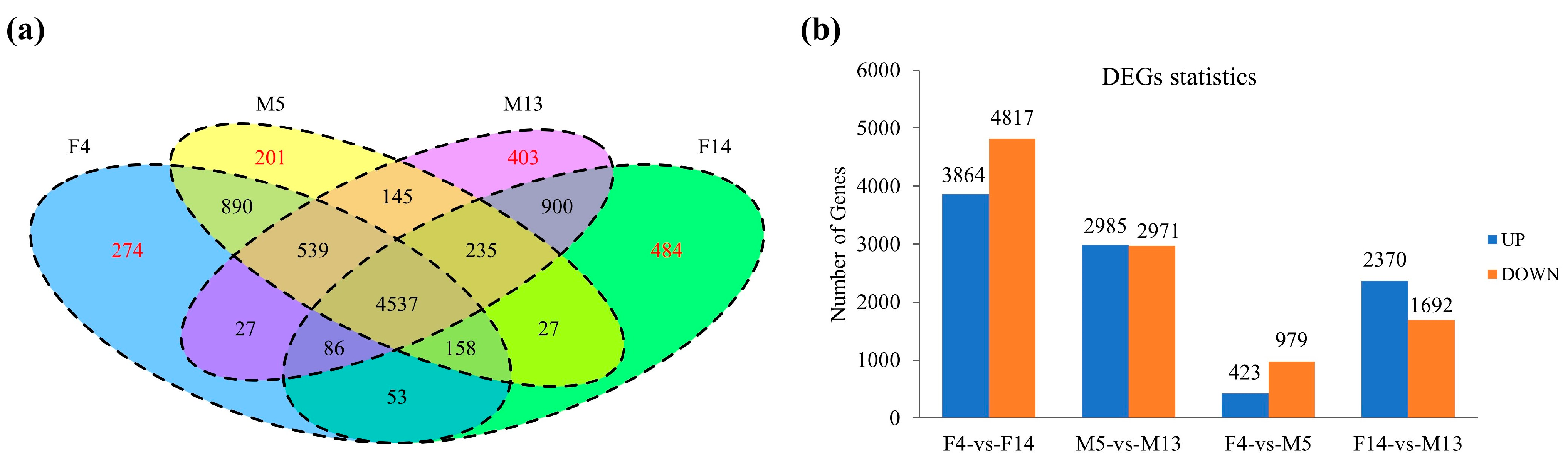 Plants 14 01715 g004