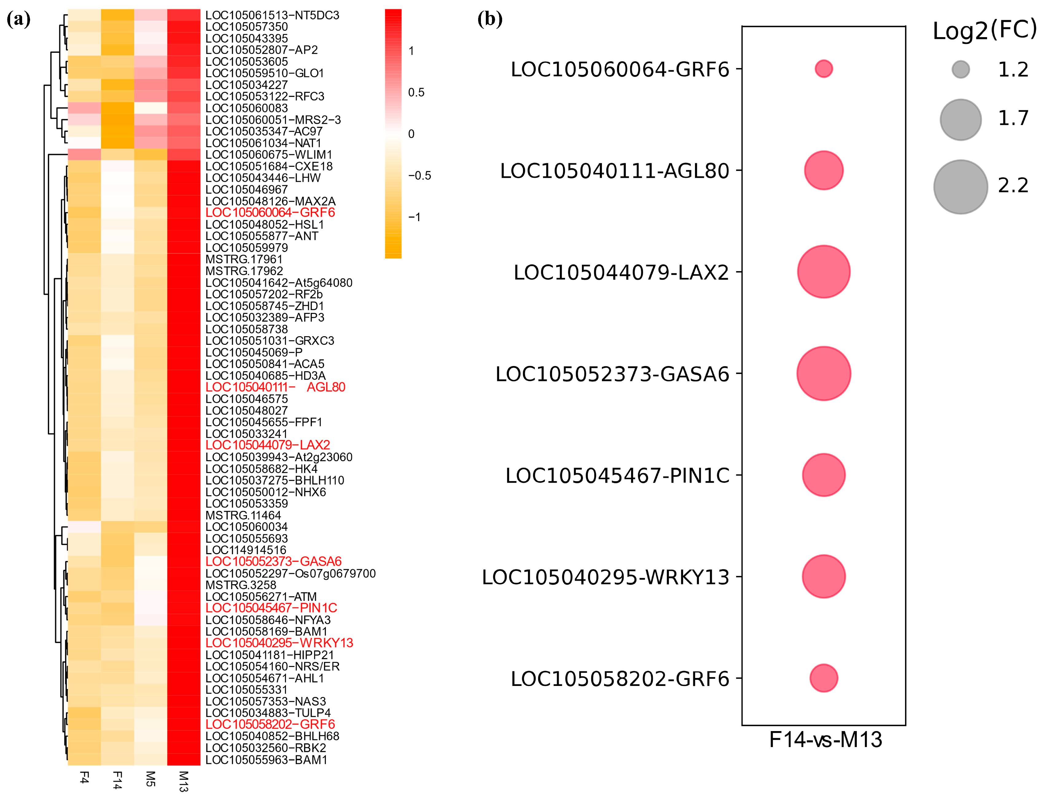 Plants 14 01715 g005