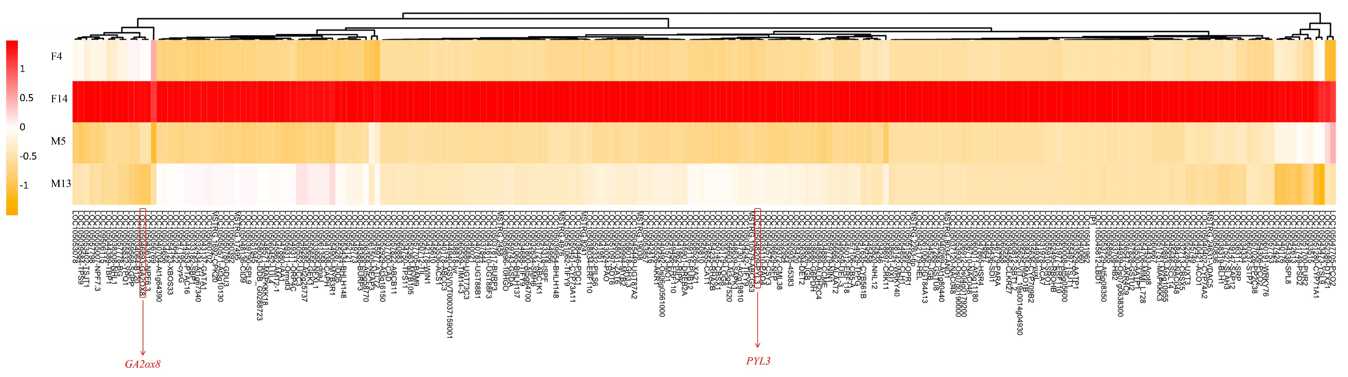 Plants 14 01715 g006
