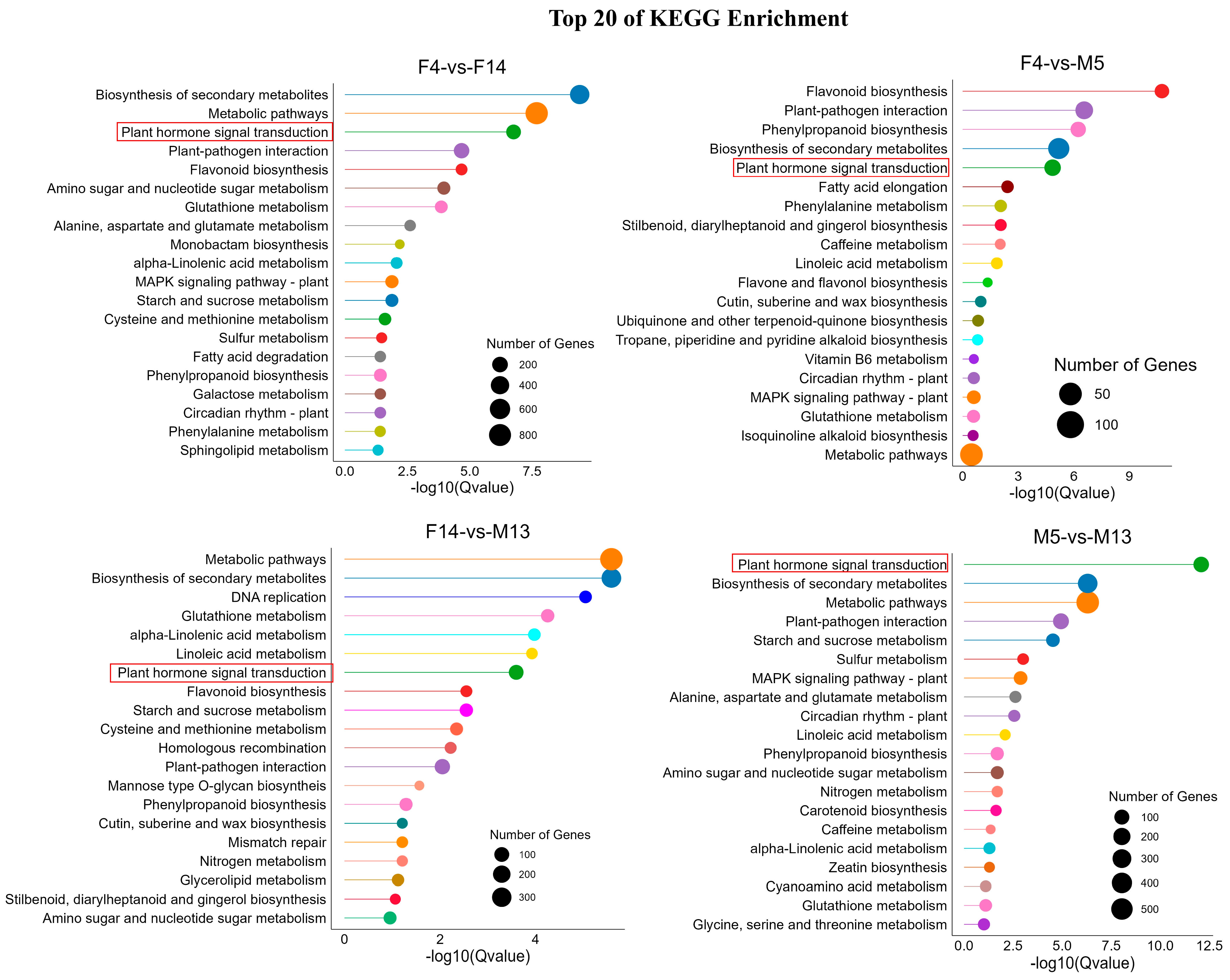Plants 14 01715 g007