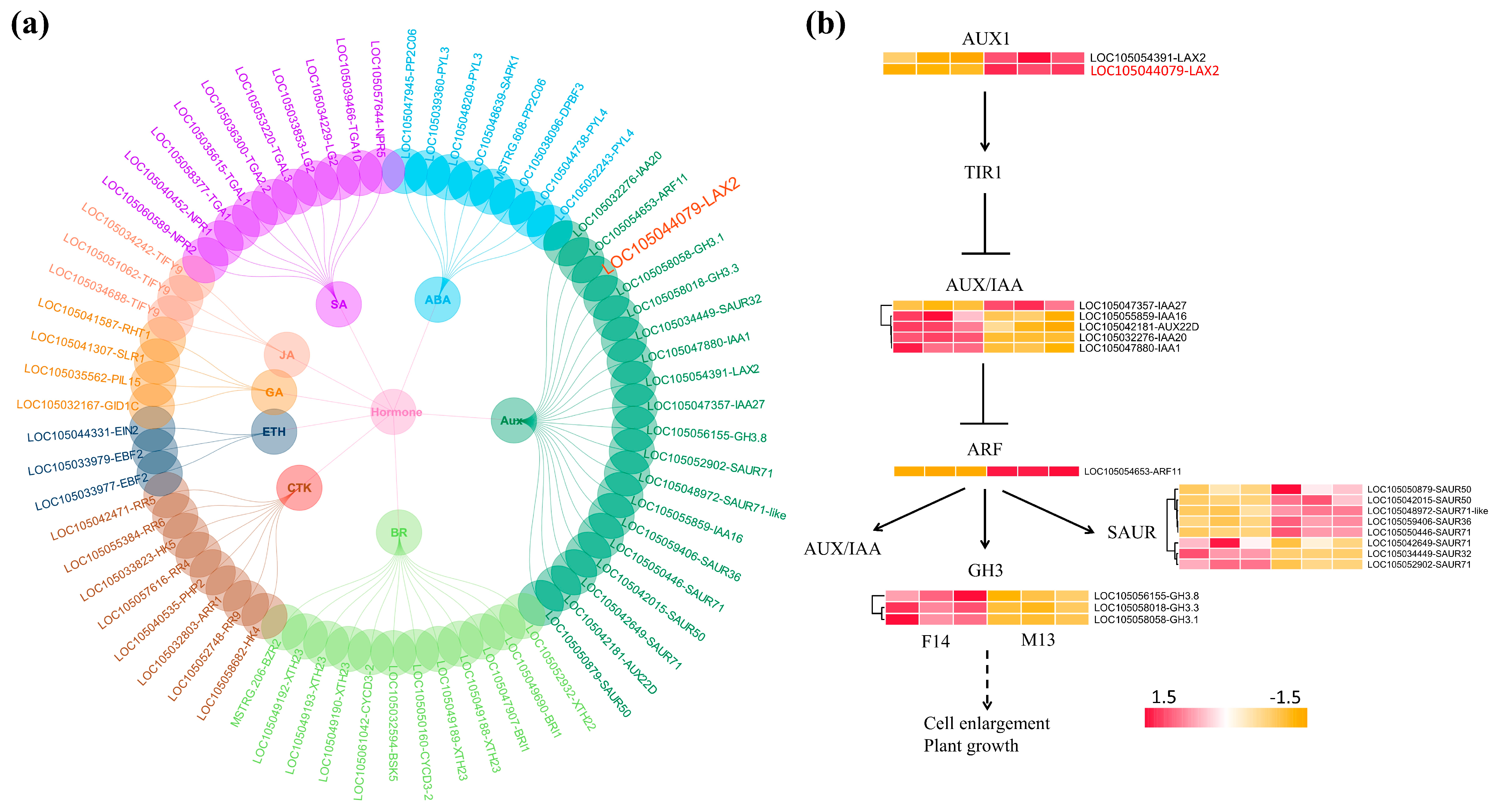 Plants 14 01715 g008