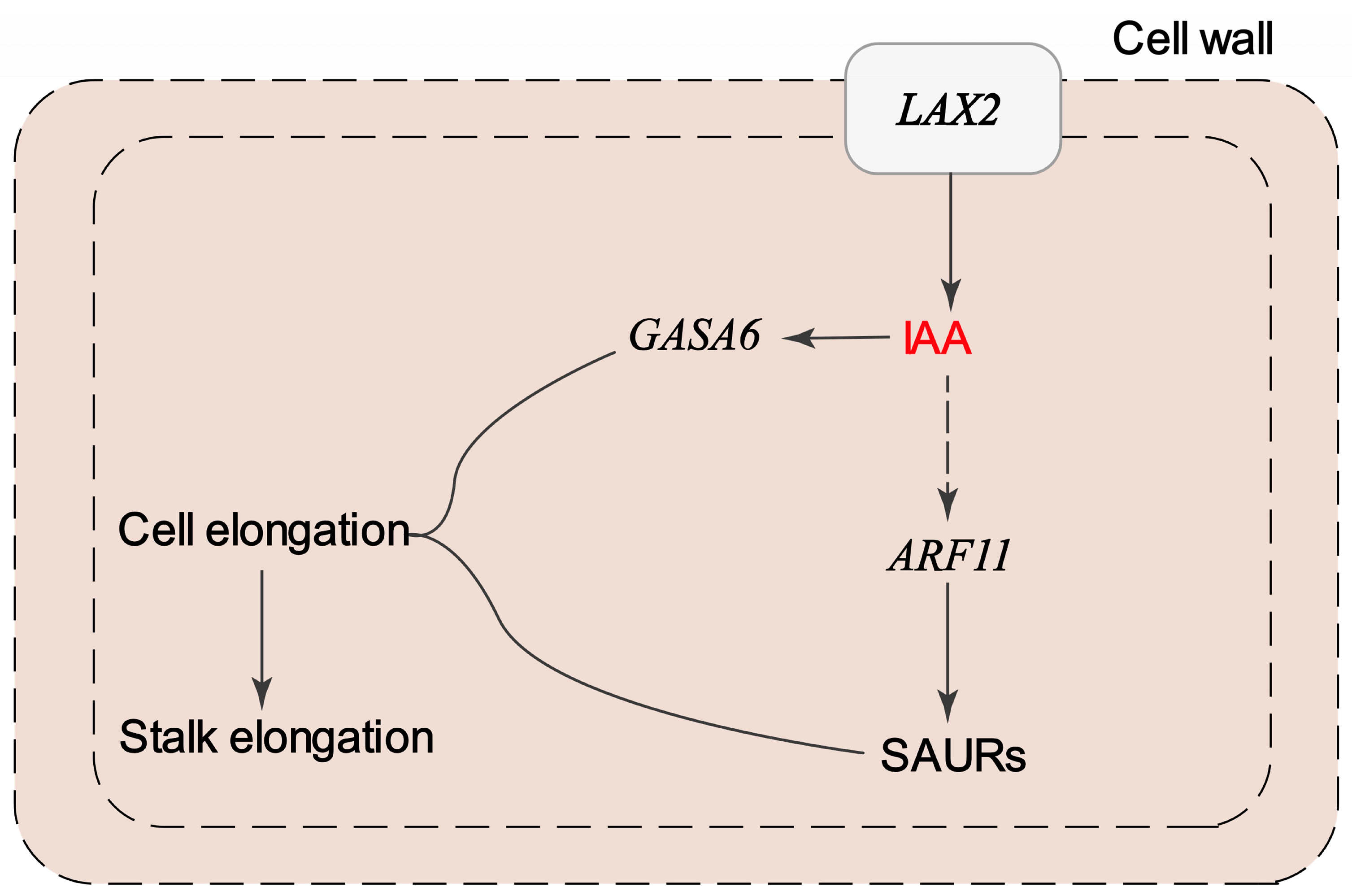 Plants 14 01715 g009