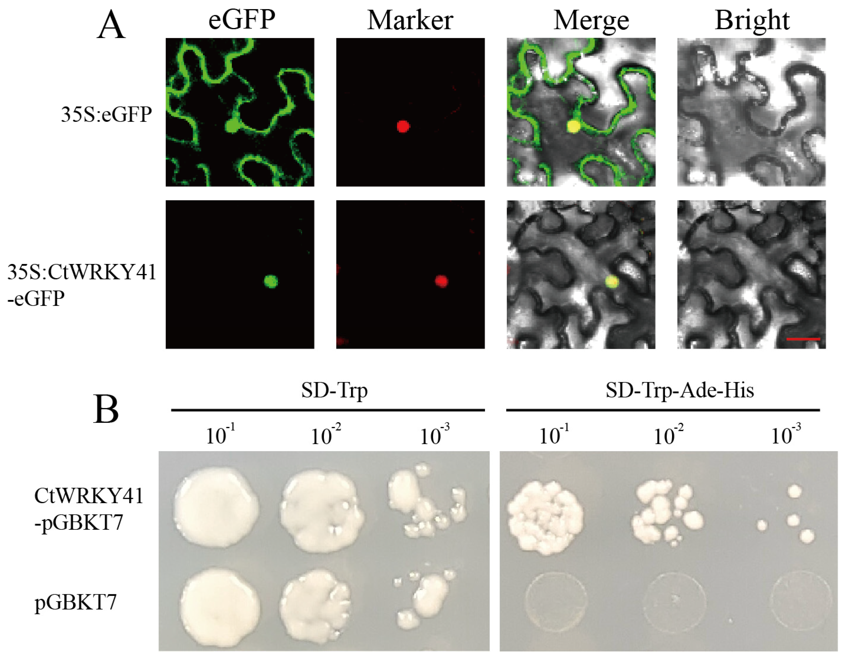 Plants 14 01716 g002