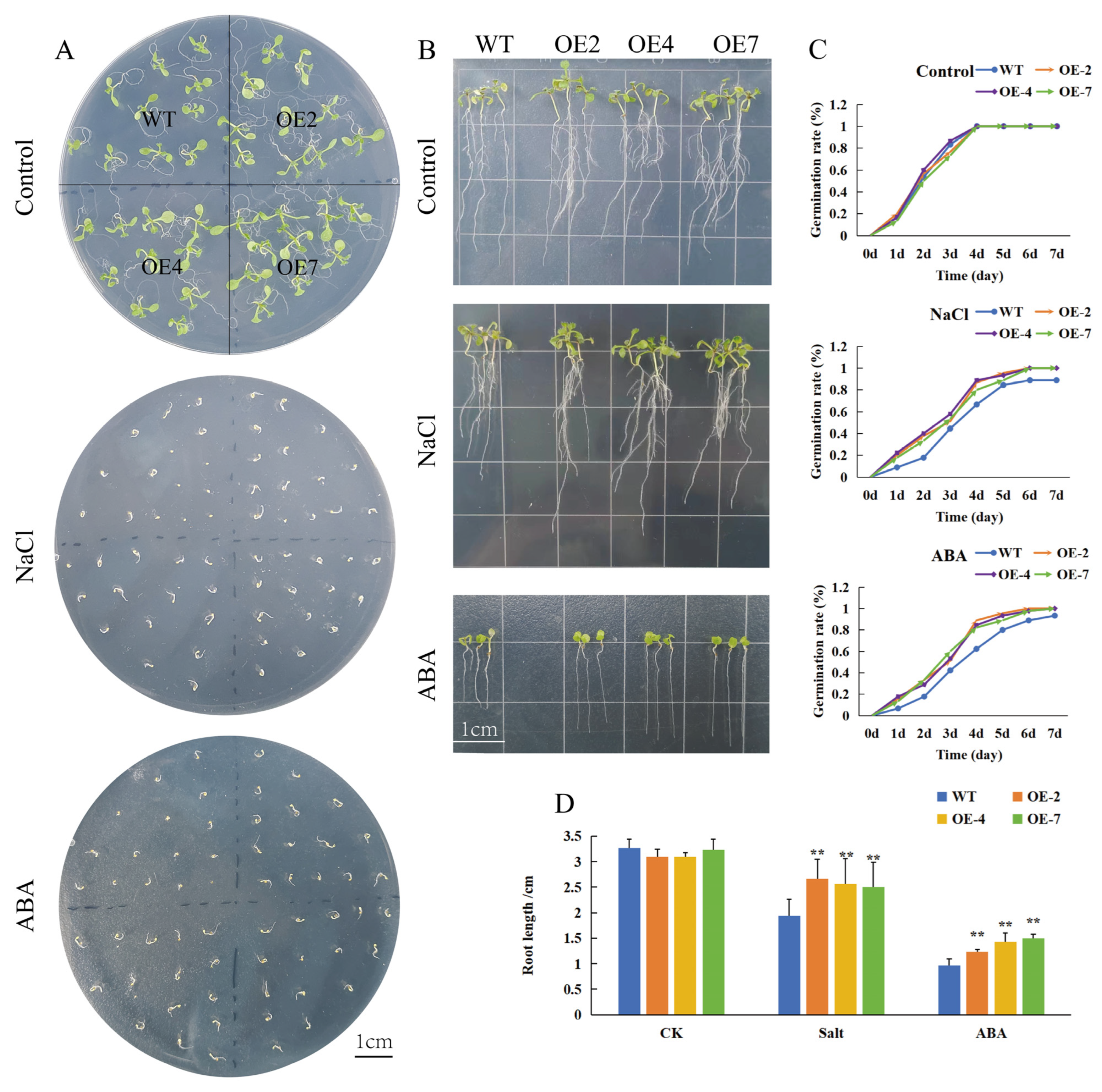 Plants 14 01716 g004