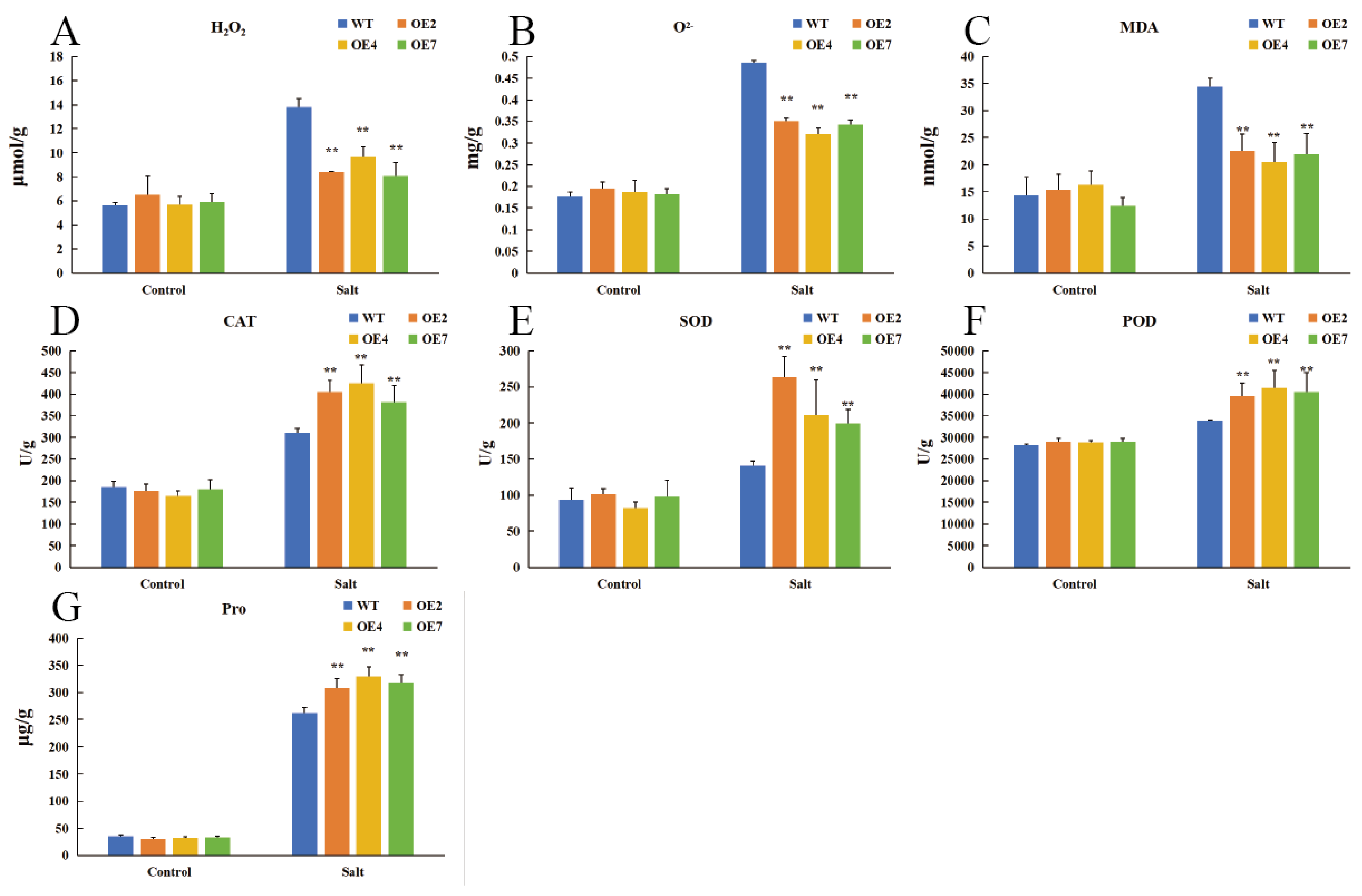 Plants 14 01716 g006