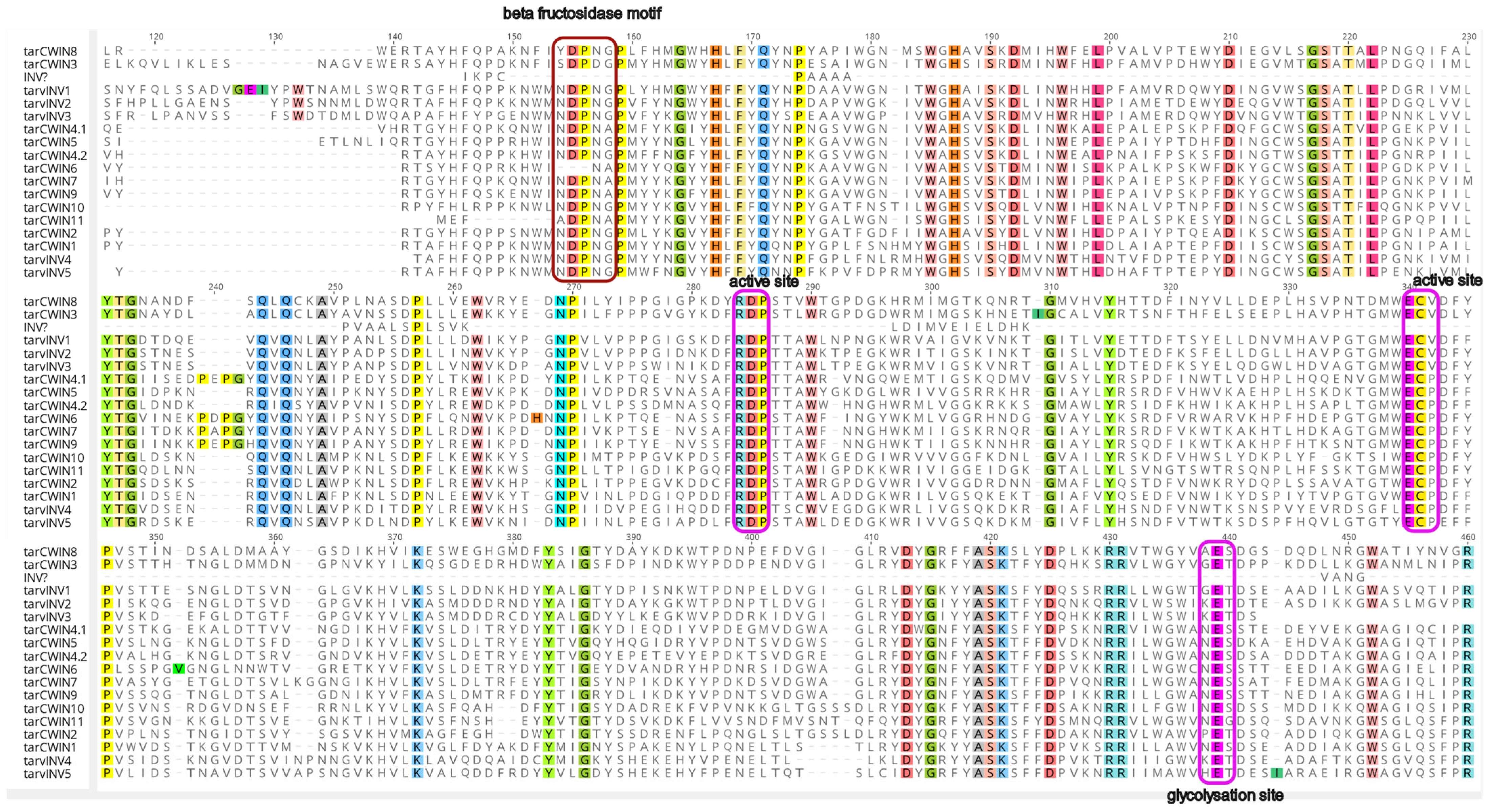 Plants 14 01718 g002