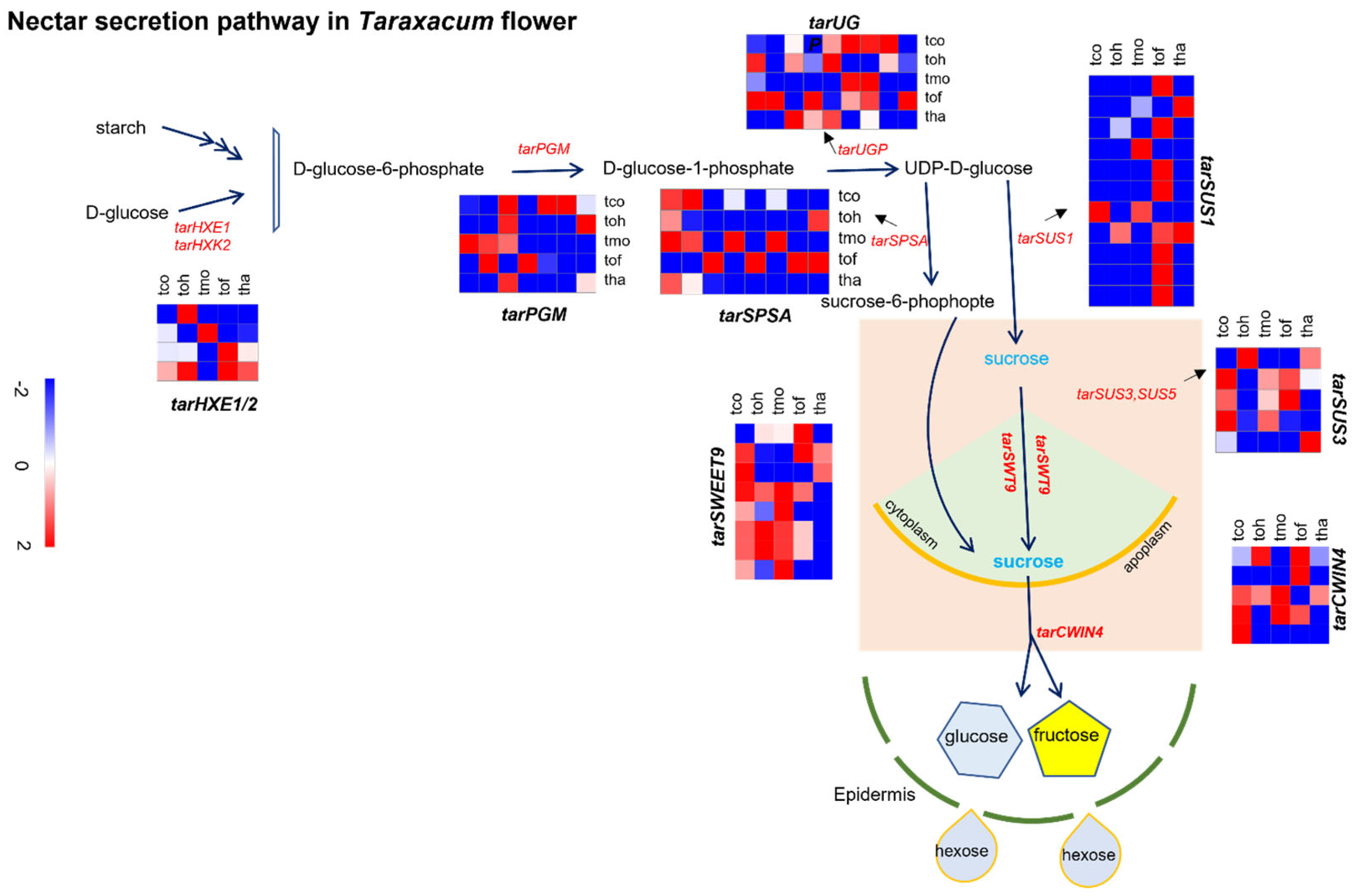 Plants 14 01718 g004