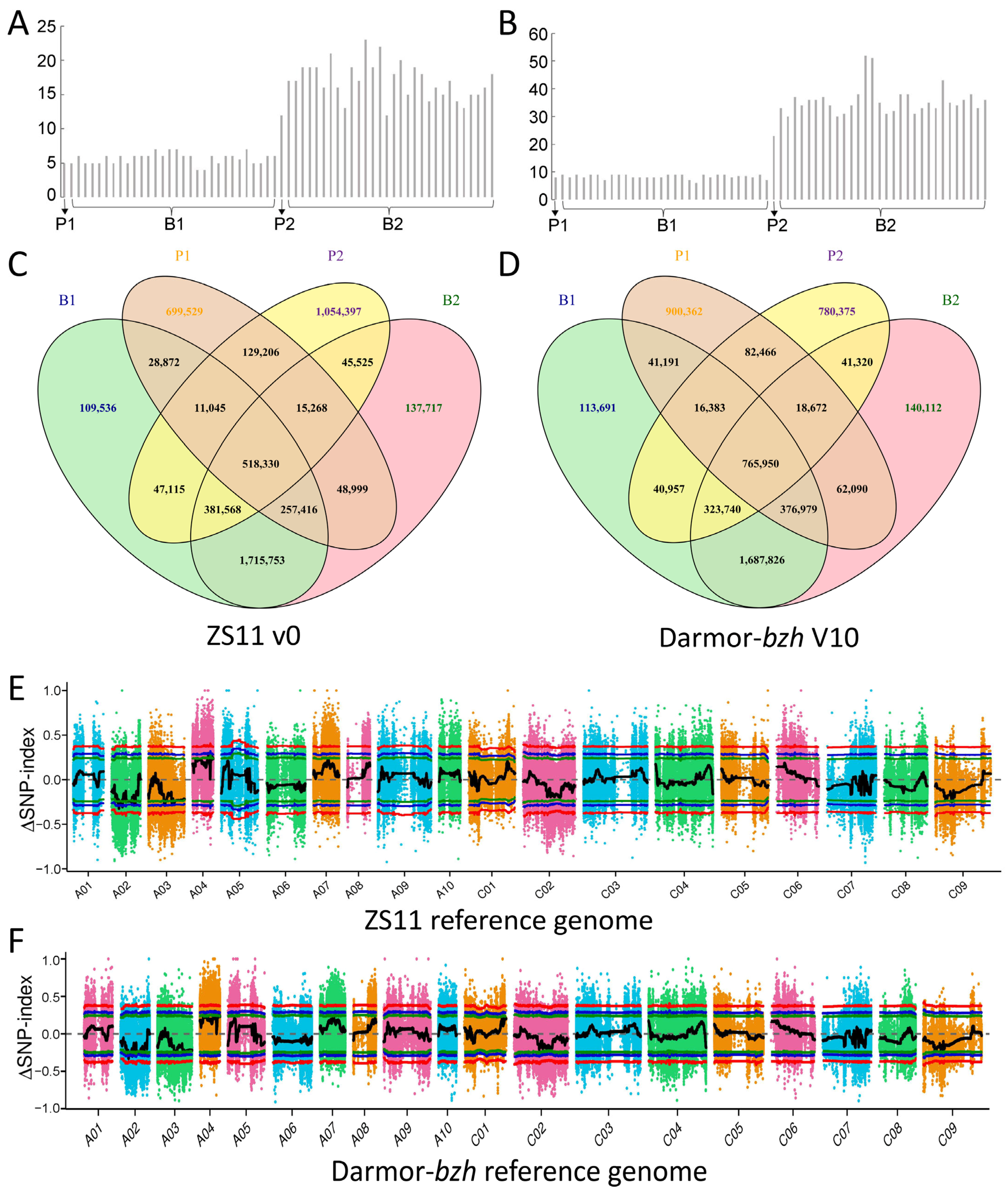 Plants 14 01719 g003 Plants 14 01719 g003