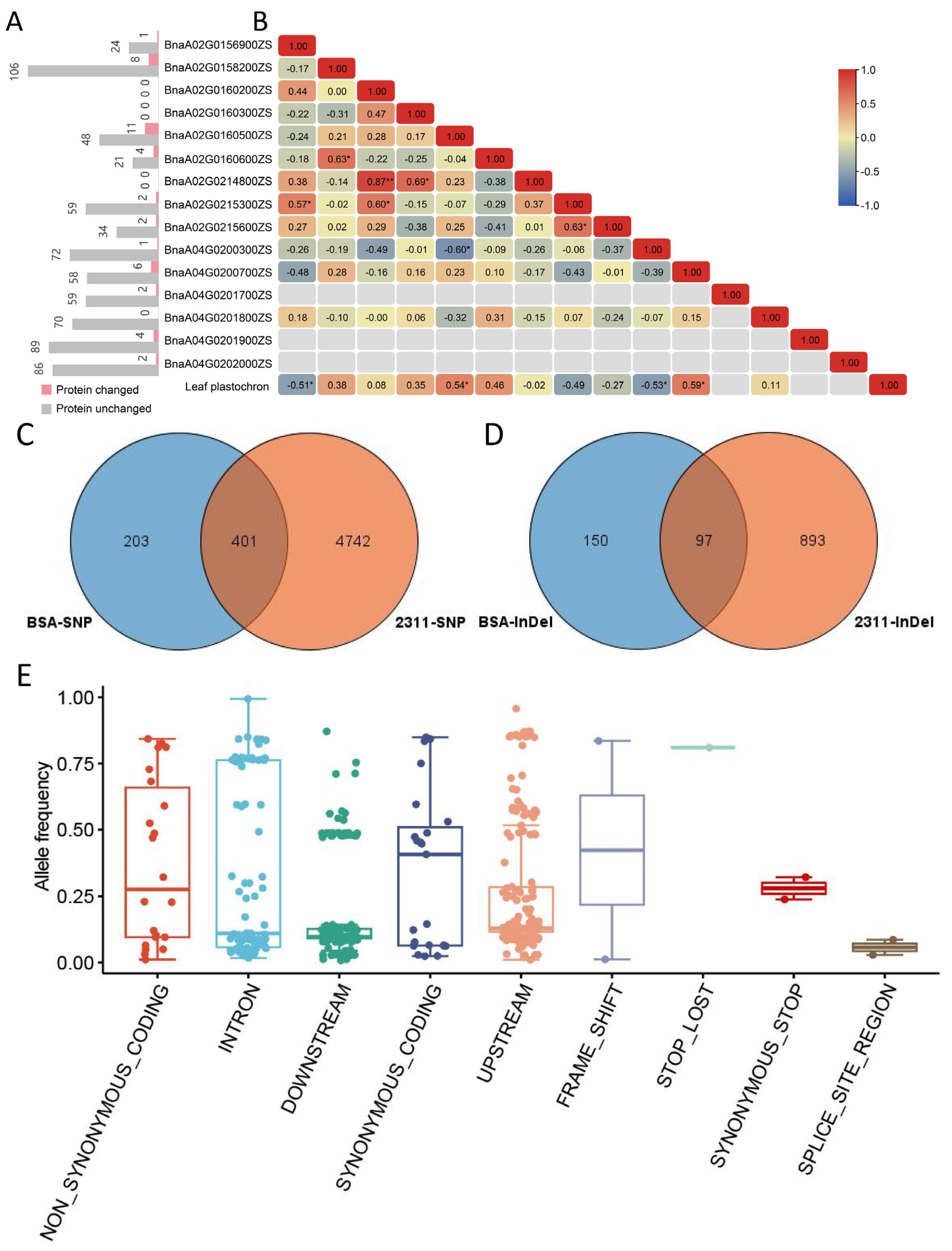 Plants 14 01719 g004 Plants 14 01719 g004