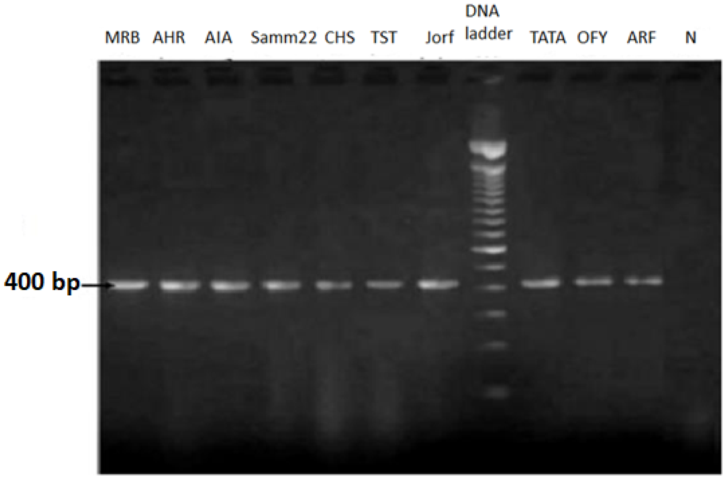 Plants 14 01721 g002