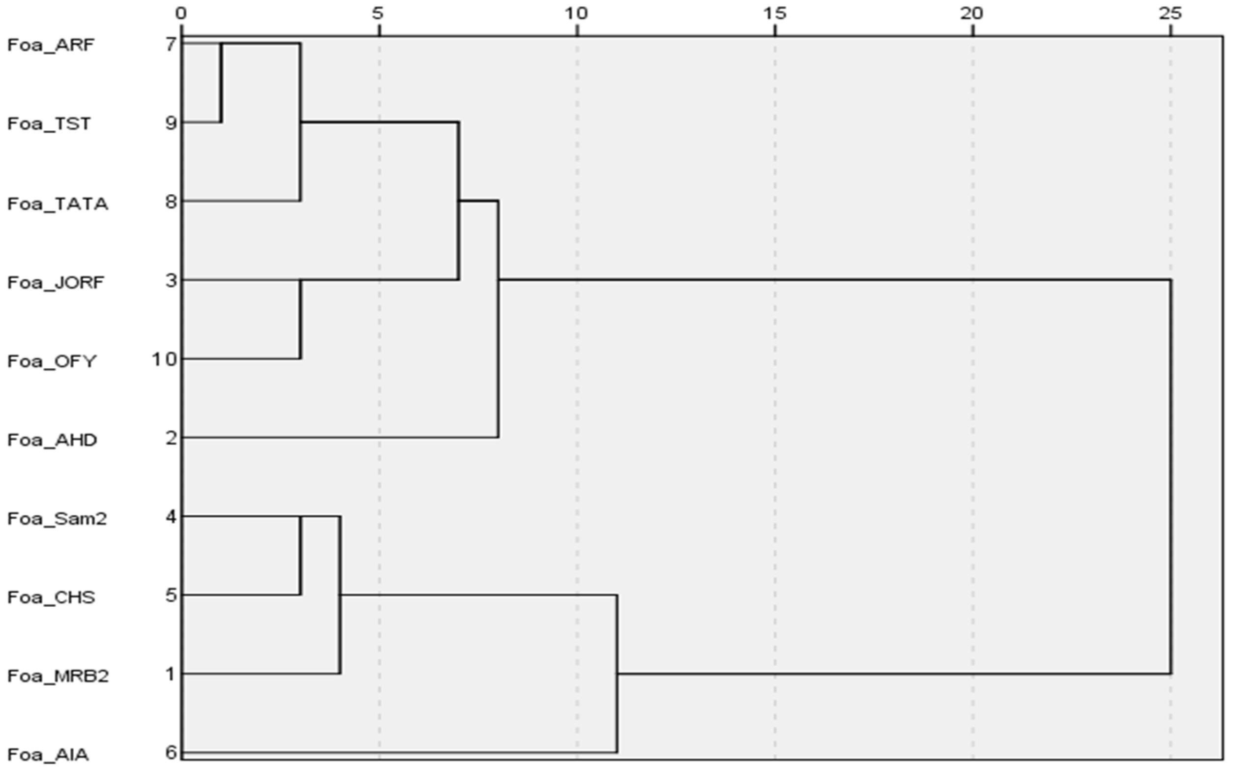 Plants 14 01721 g007
