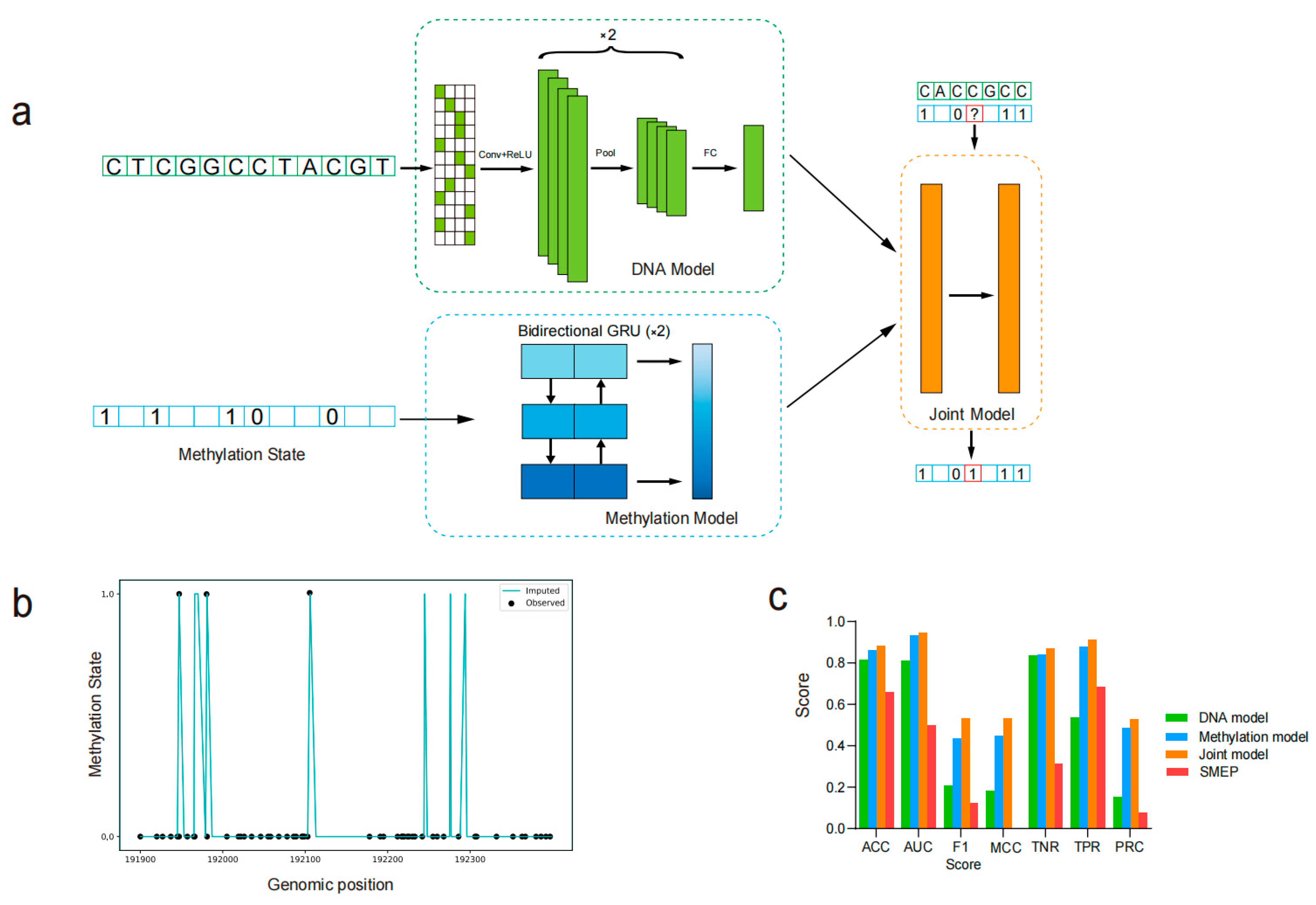 Plants 14 01724 g001