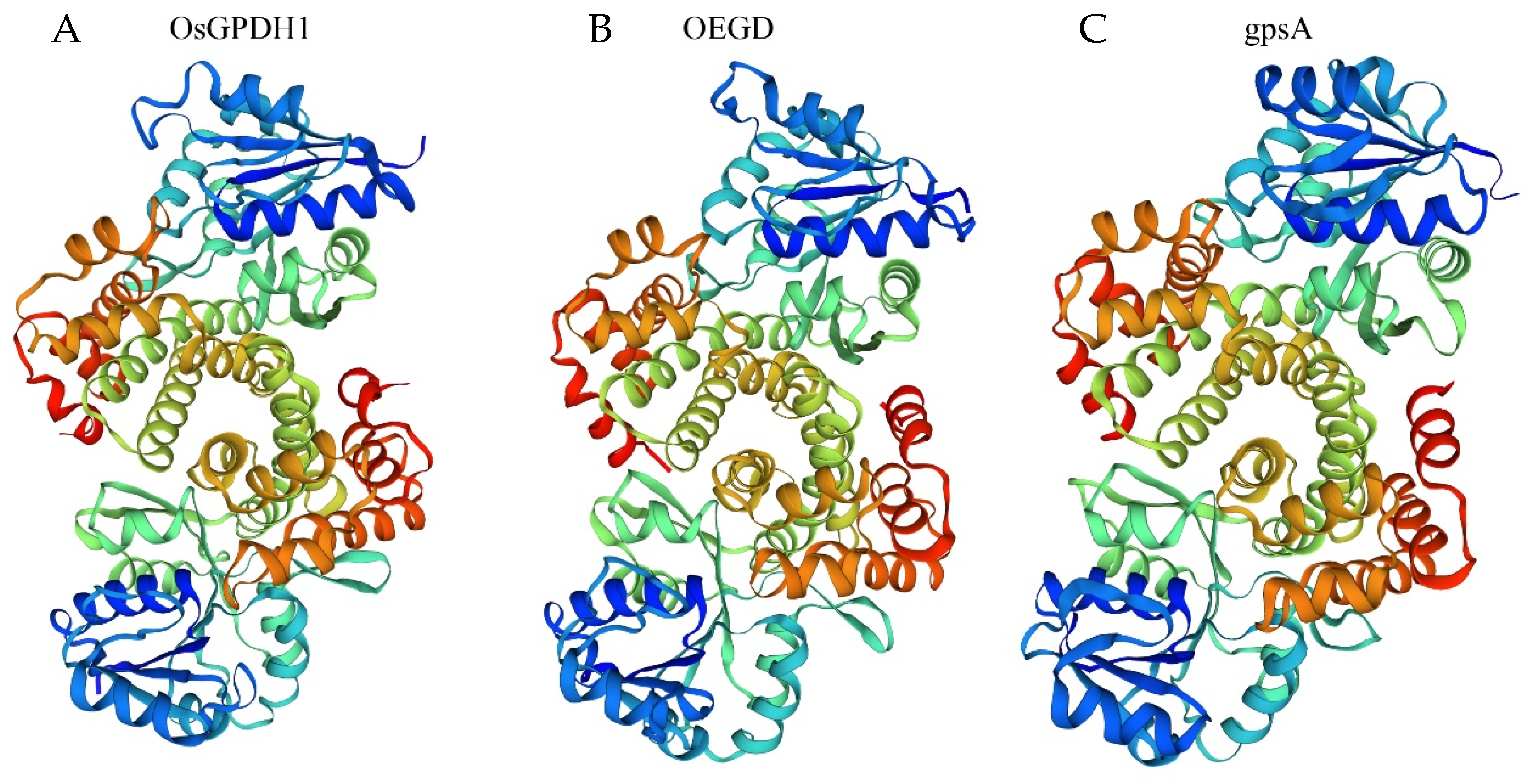 Plants 14 01731 g001