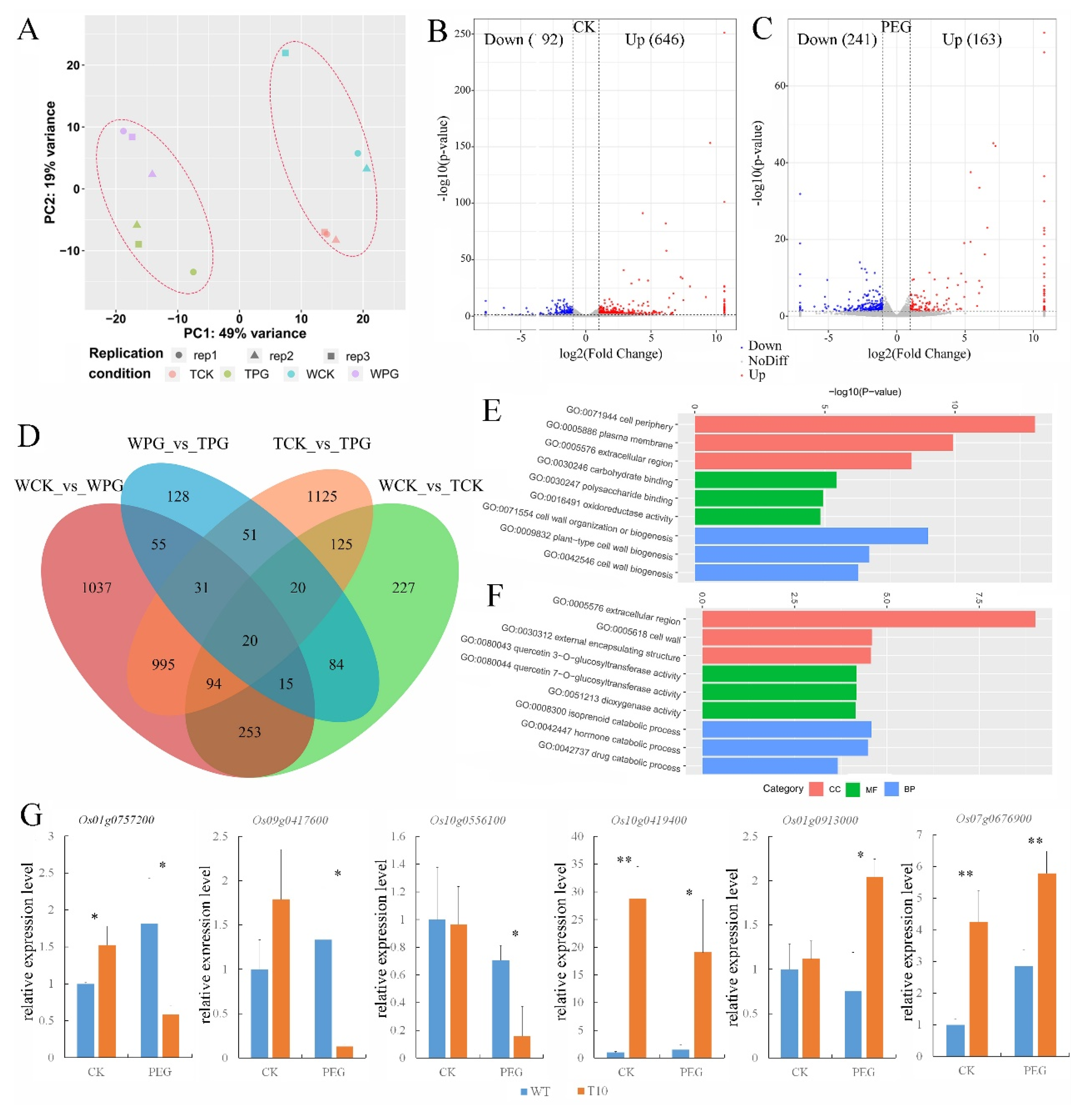 Plants 14 01731 g005