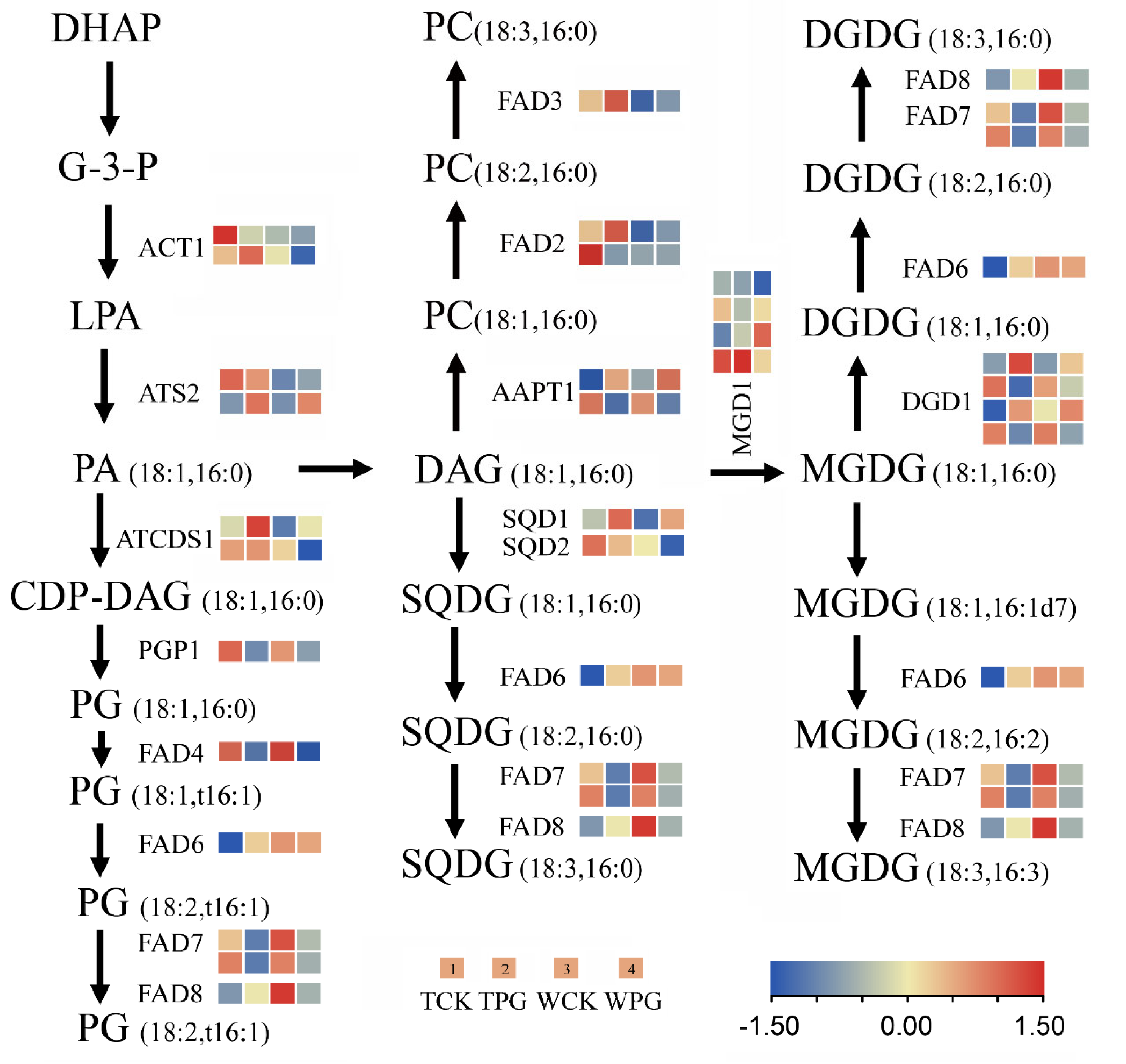 Plants 14 01731 g006