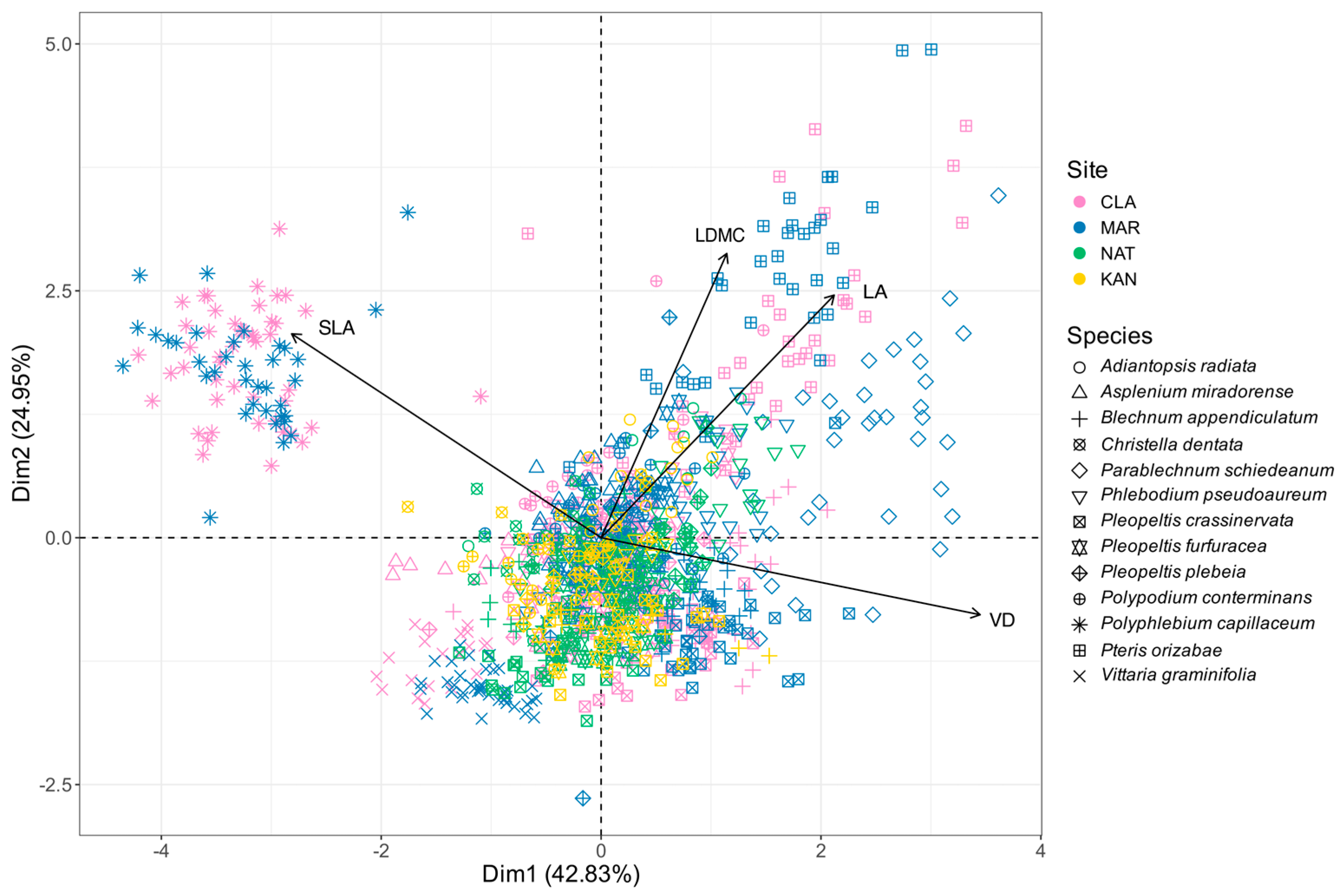 Plants 14 01732 g003 Plants 14 01732 g003