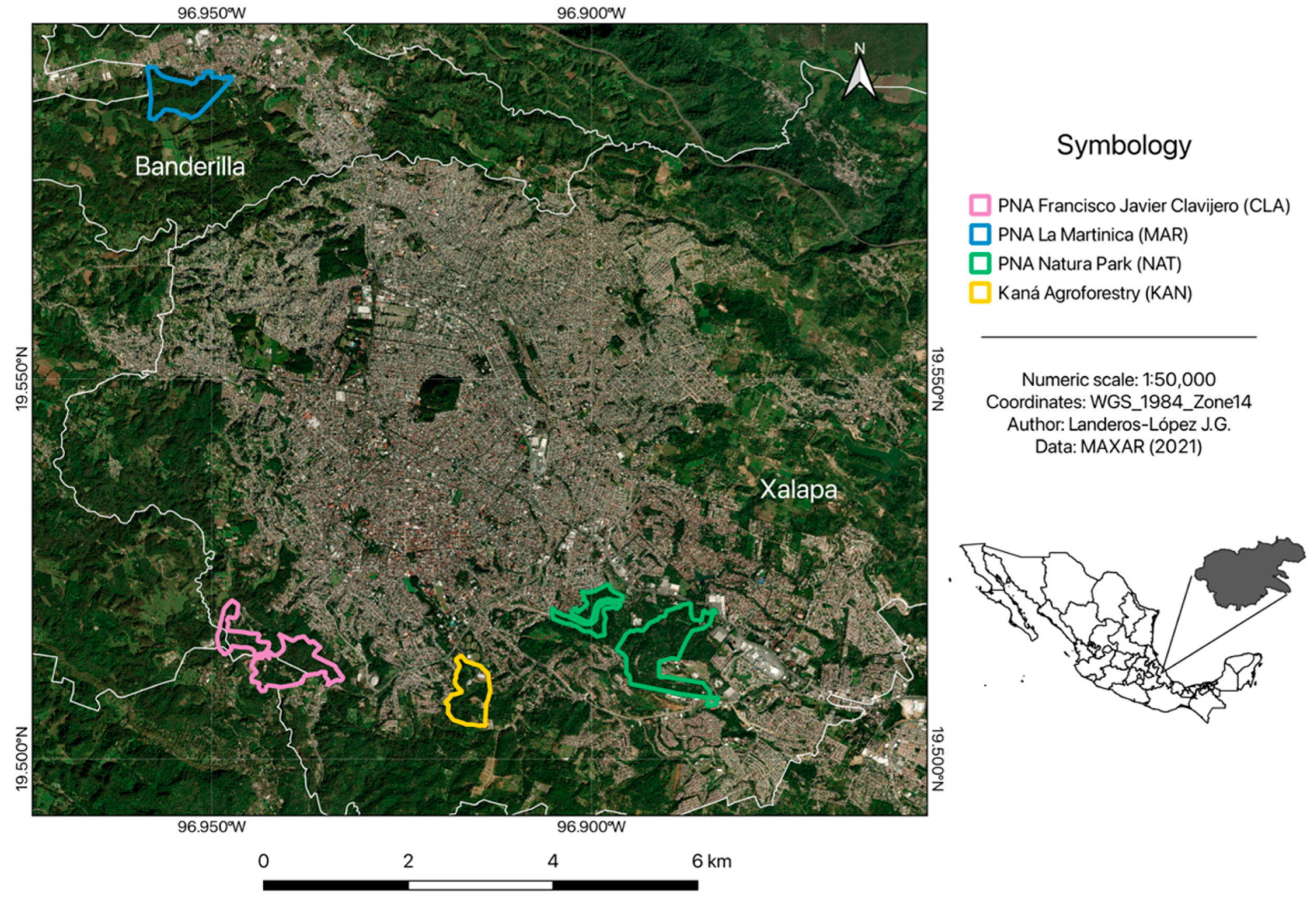 Plants 14 01732 g004 Plants 14 01732 g004