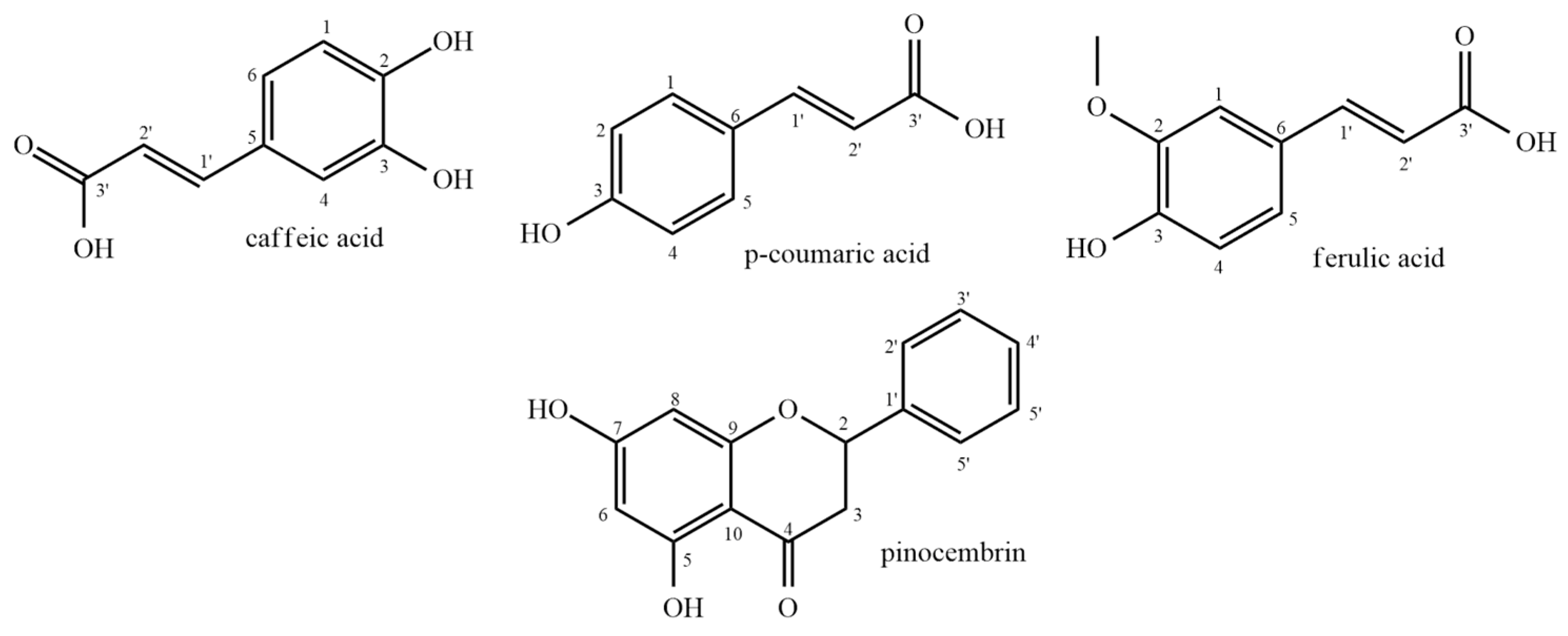 Plants 14 01733 g002