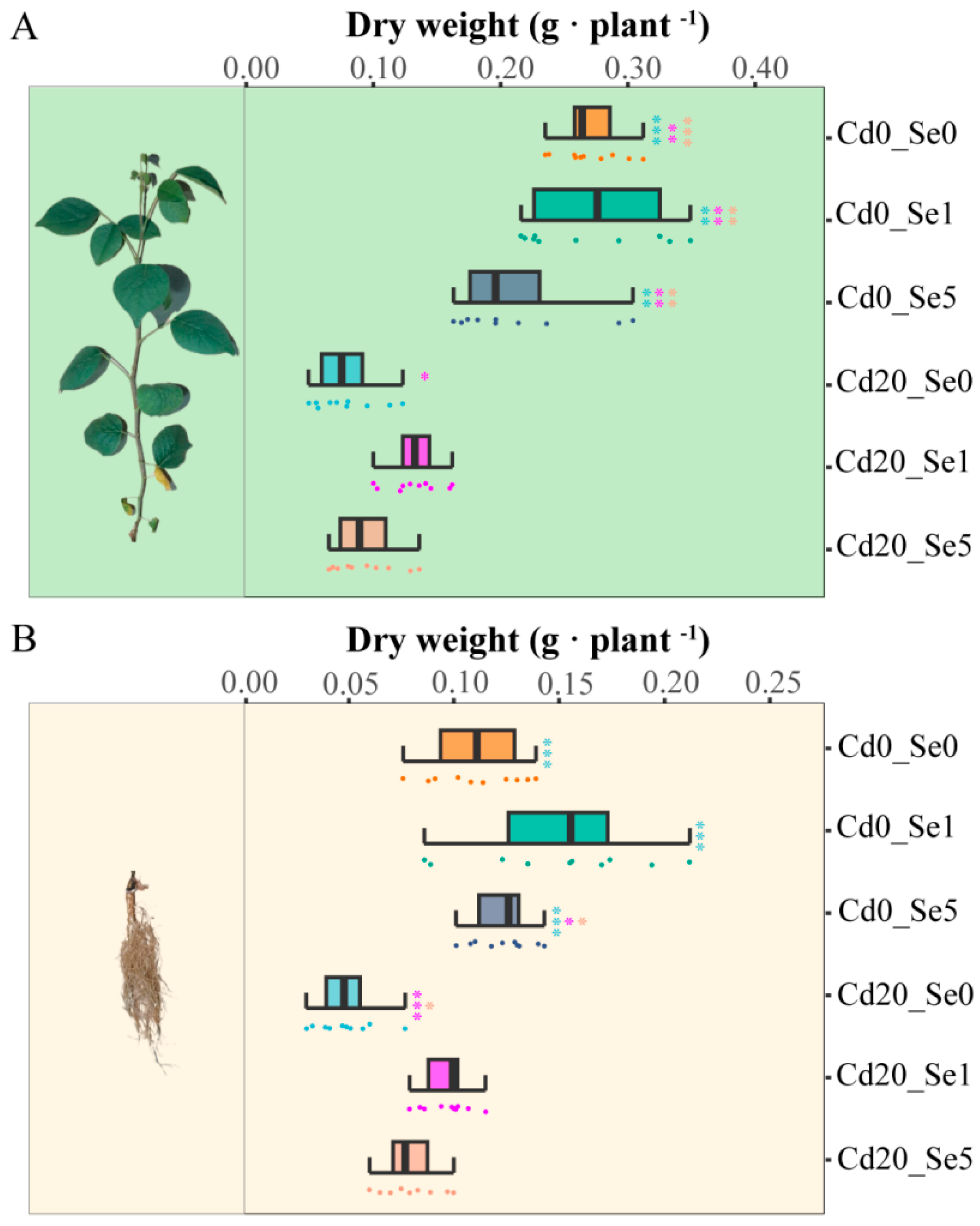 Plants 14 01736 g001