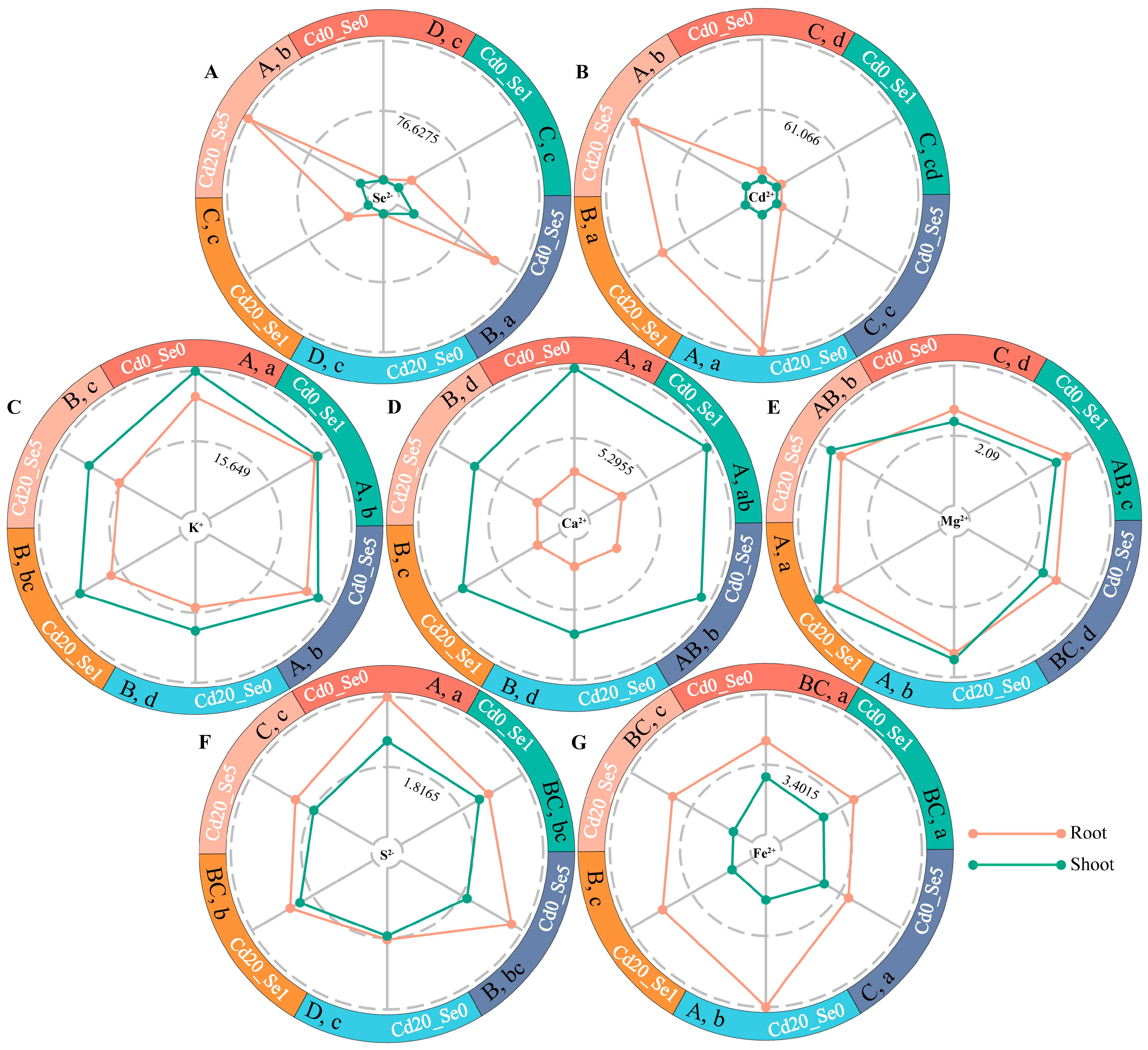 Plants 14 01736 g002