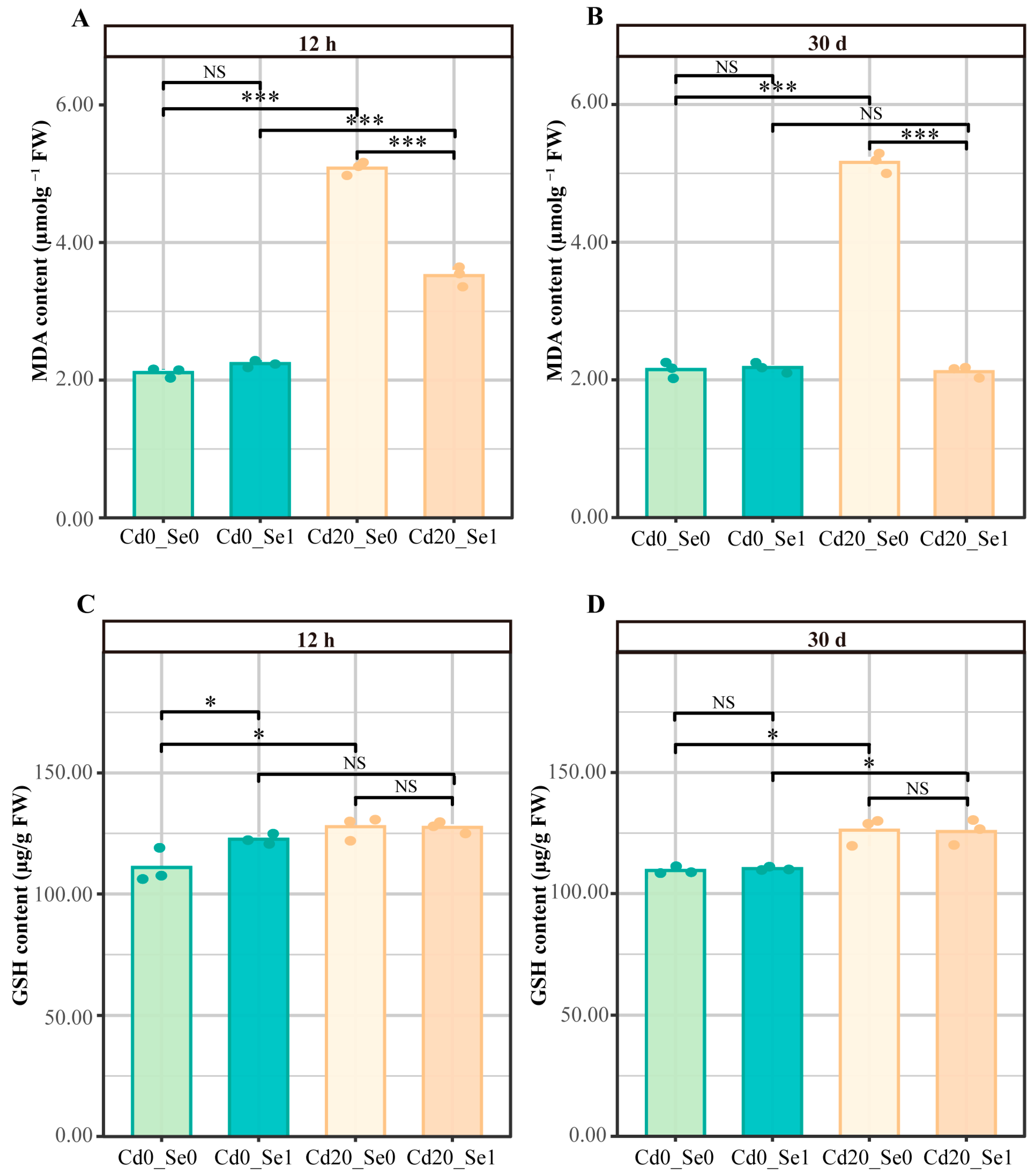 Plants 14 01736 g003