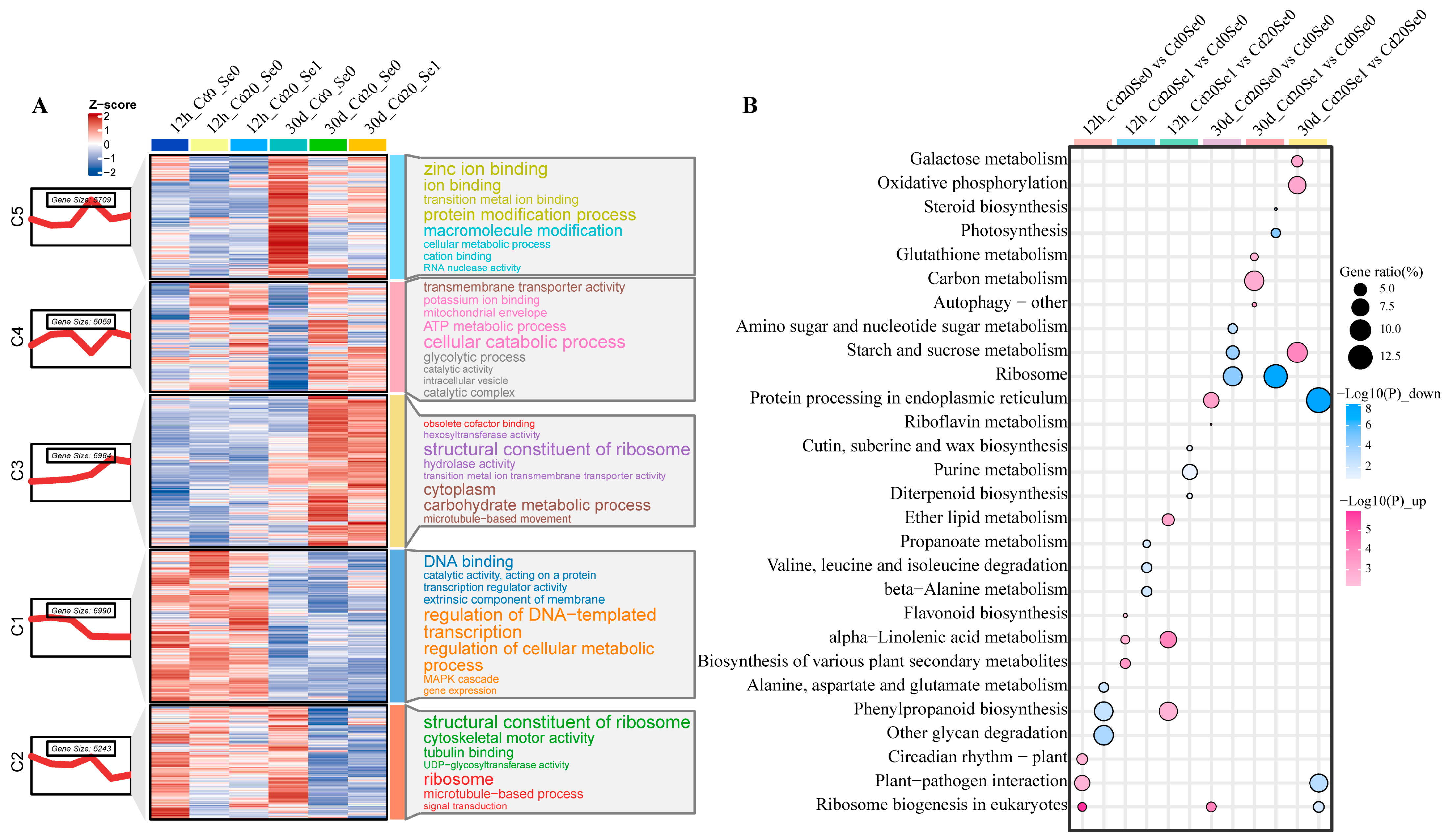 Plants 14 01736 g005