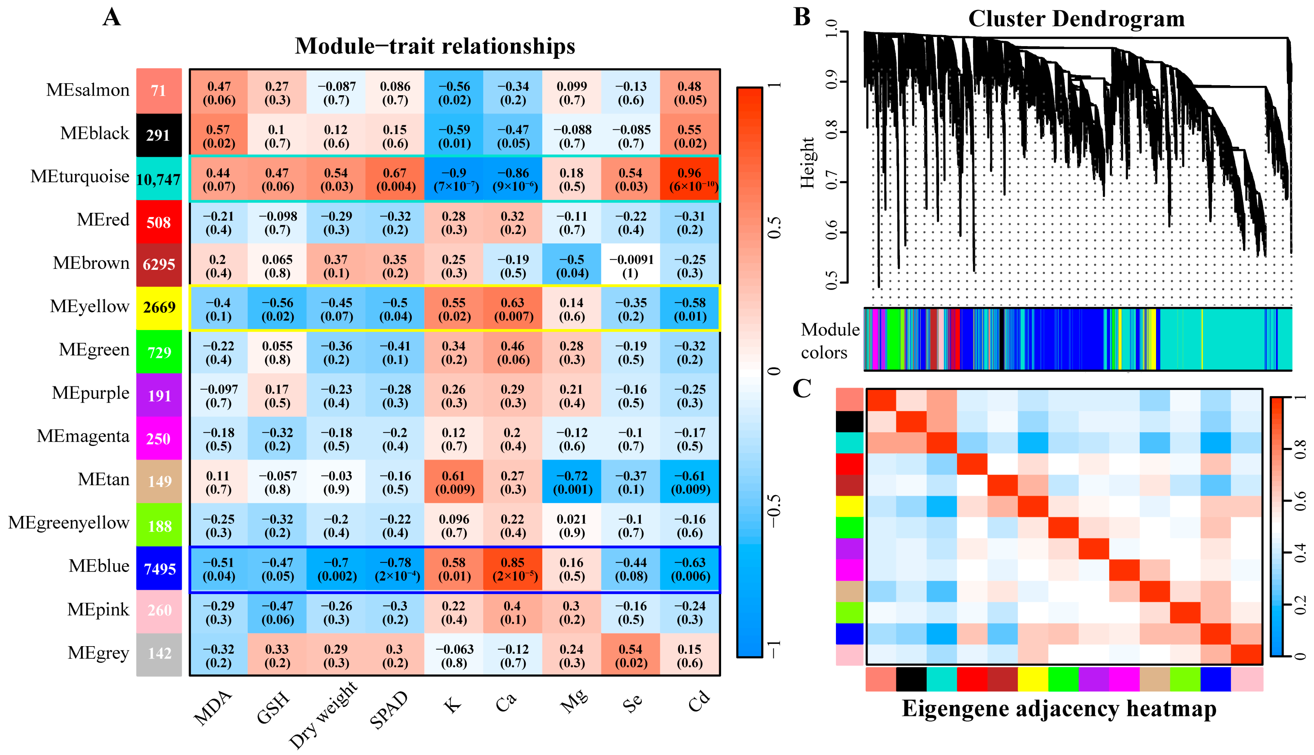 Plants 14 01736 g006
