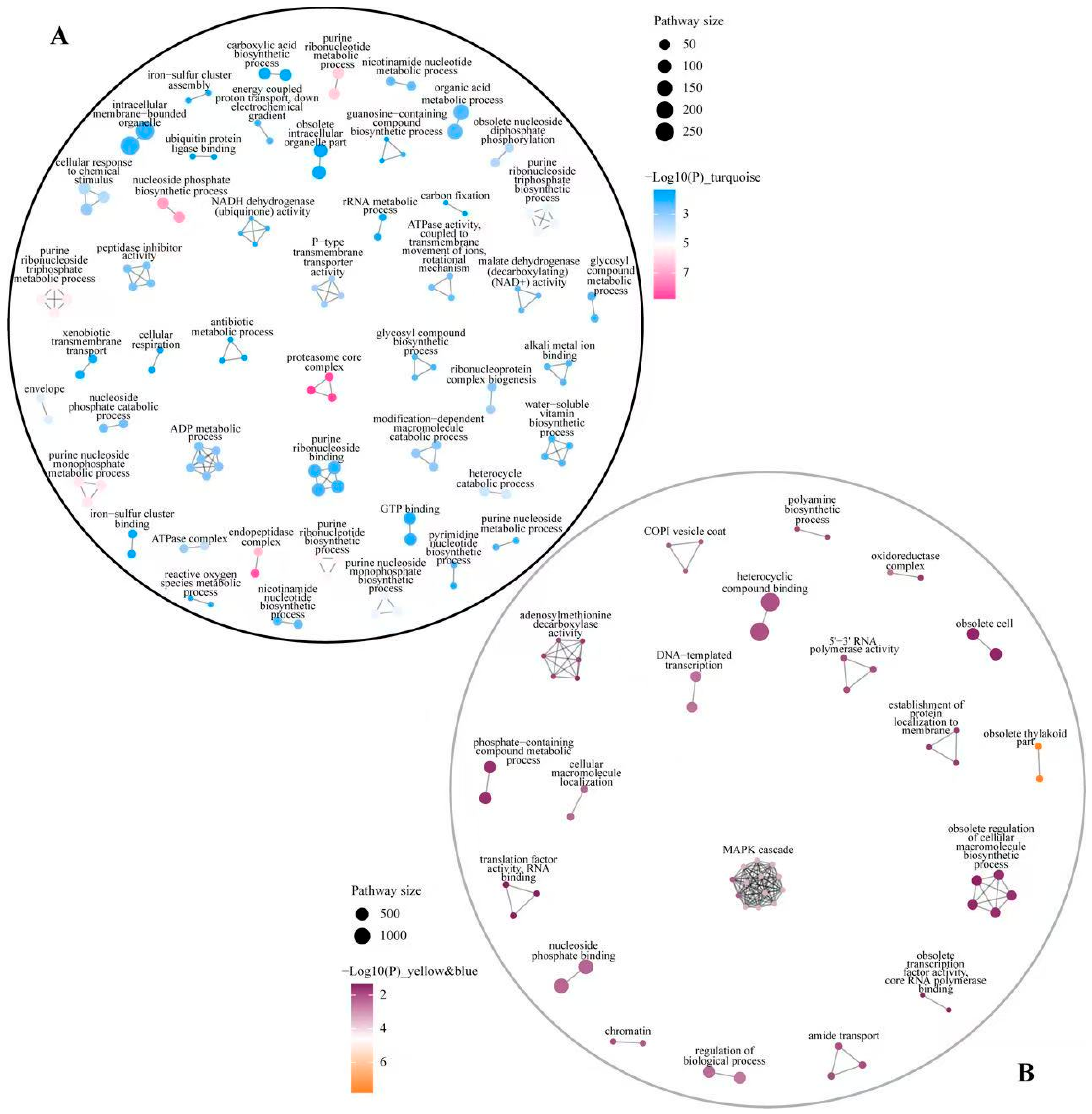 Plants 14 01736 g007