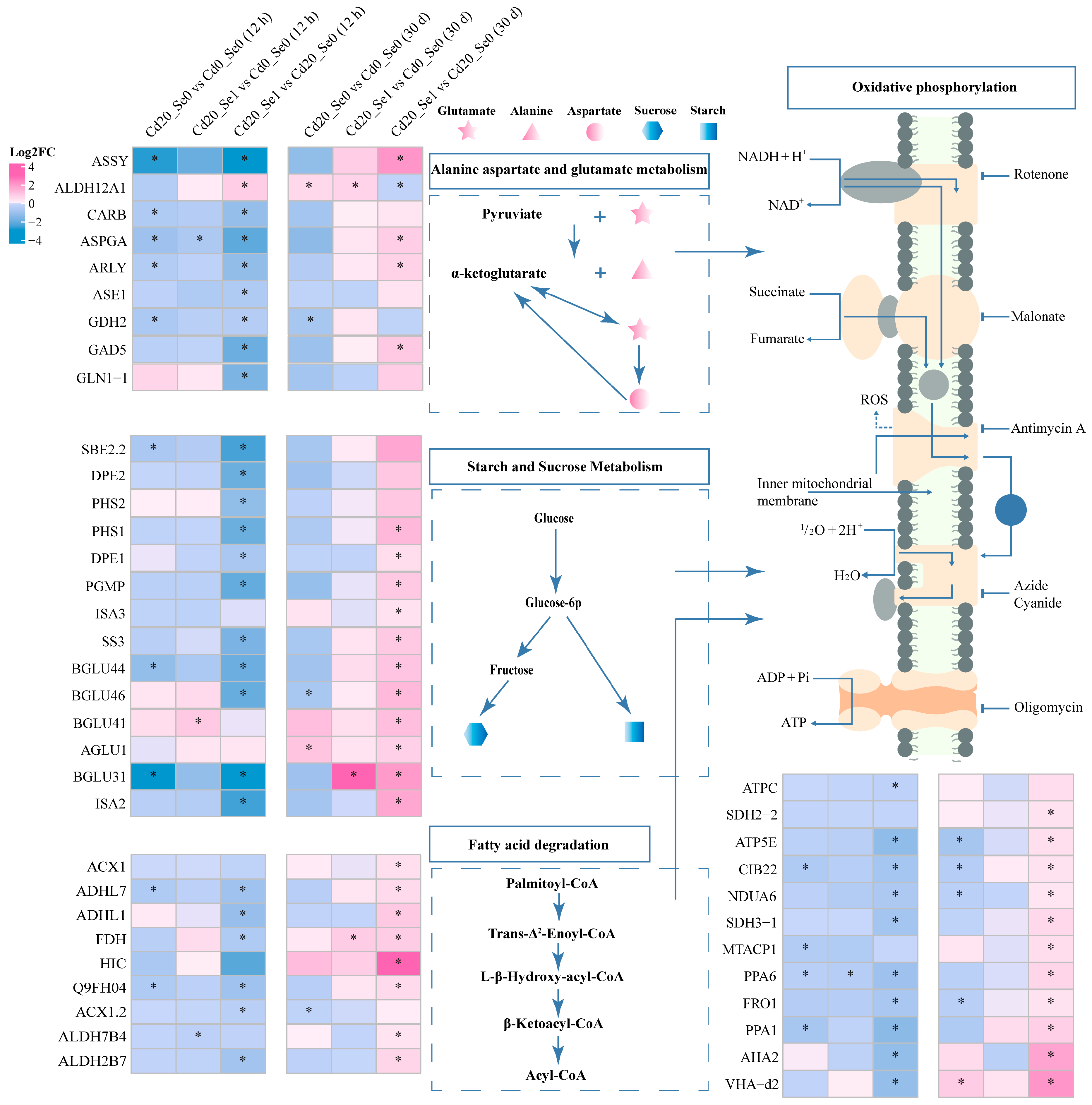 Plants 14 01736 g010